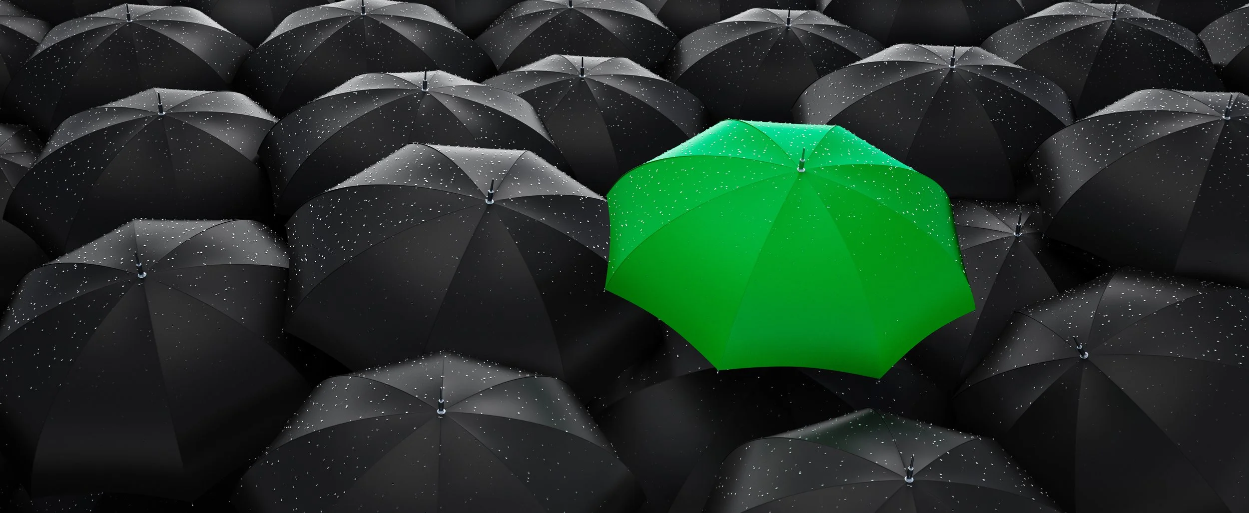 Branding Materials and Tips For Nonprofit Organizations