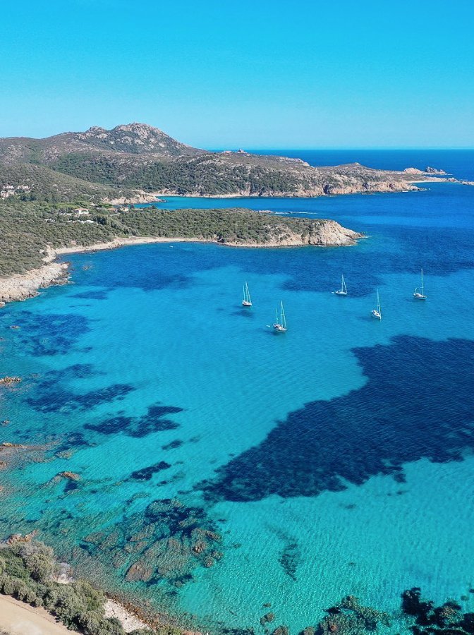 Screen Shot 2025-04-11 at 3.10.14 PM.png