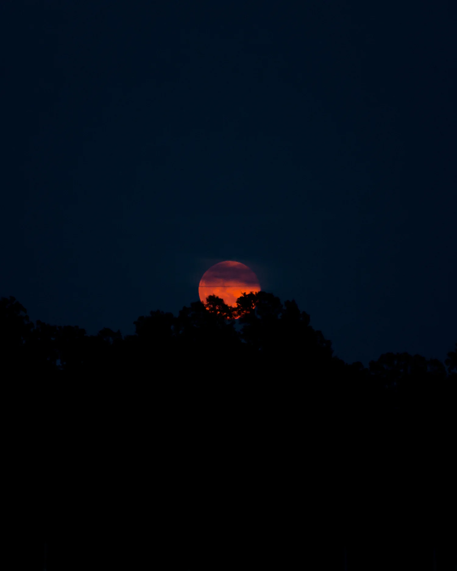 IMG_0360-2.jpg