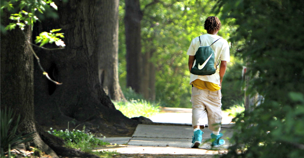 160719_Saggy_Seibler--1250x650.png