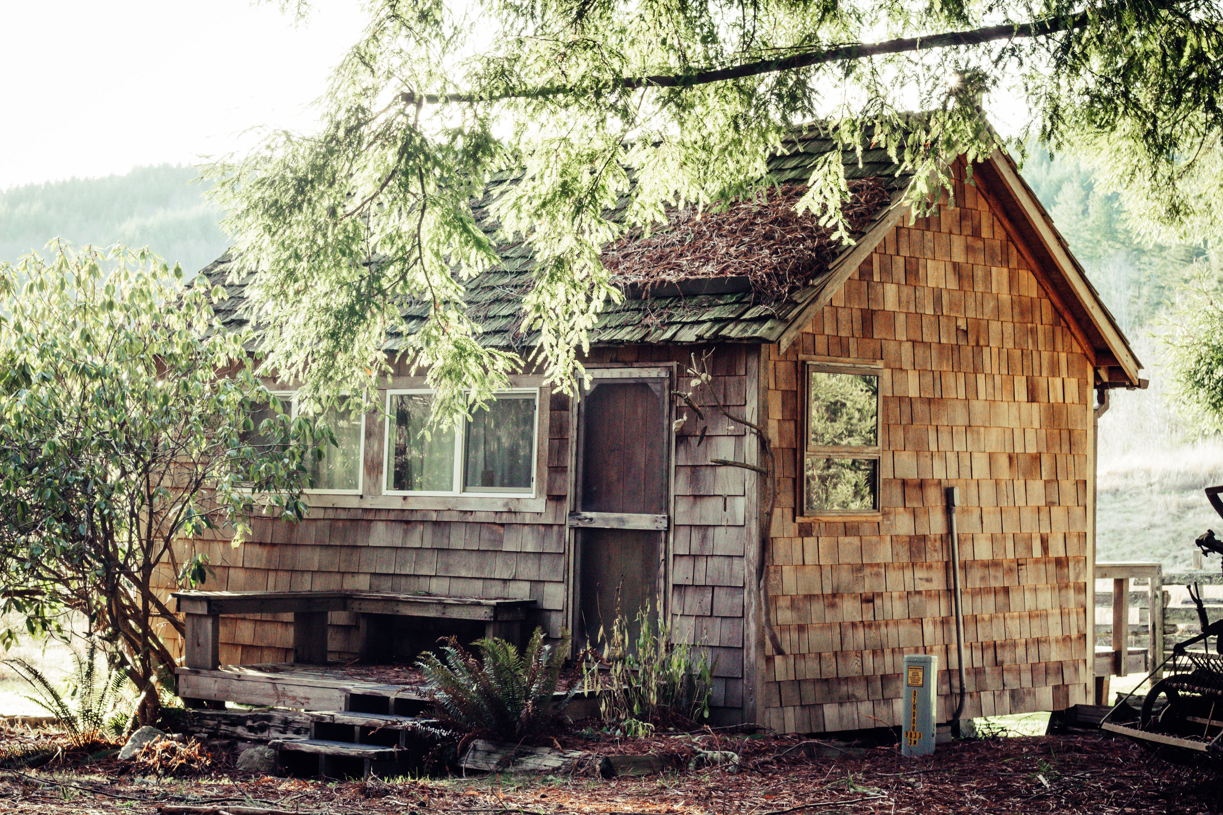North Meadow Cabin