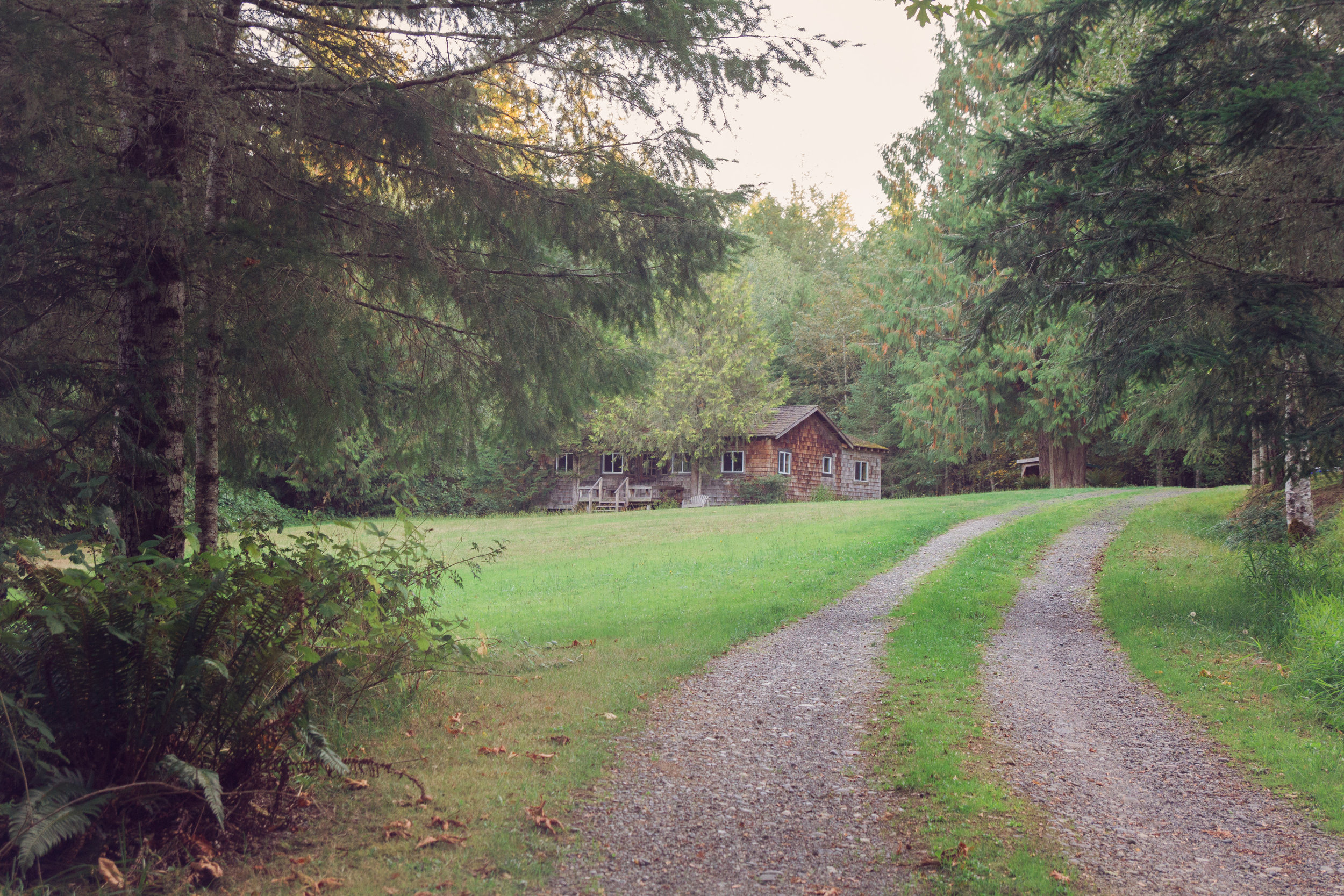 Trillium Woods Cottage