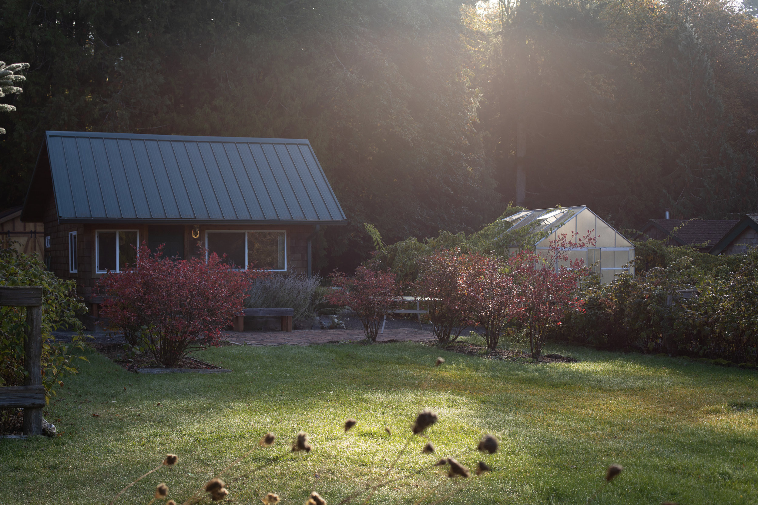 Garden Cabin