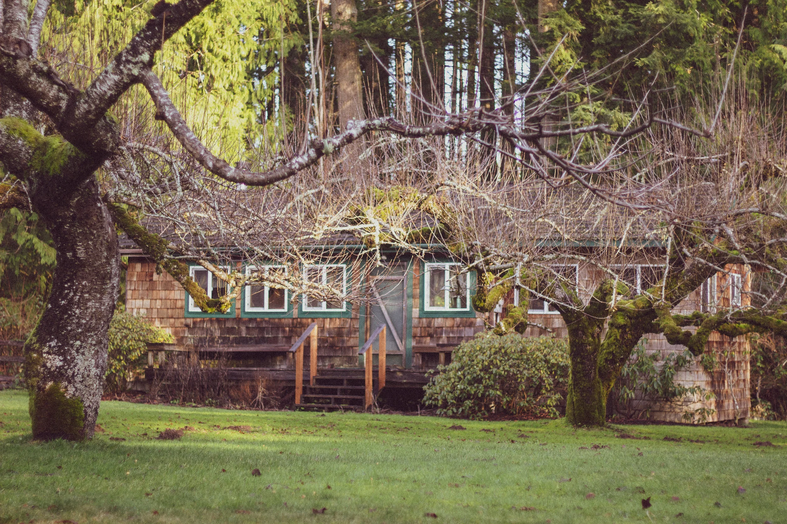 Orchard Cabin