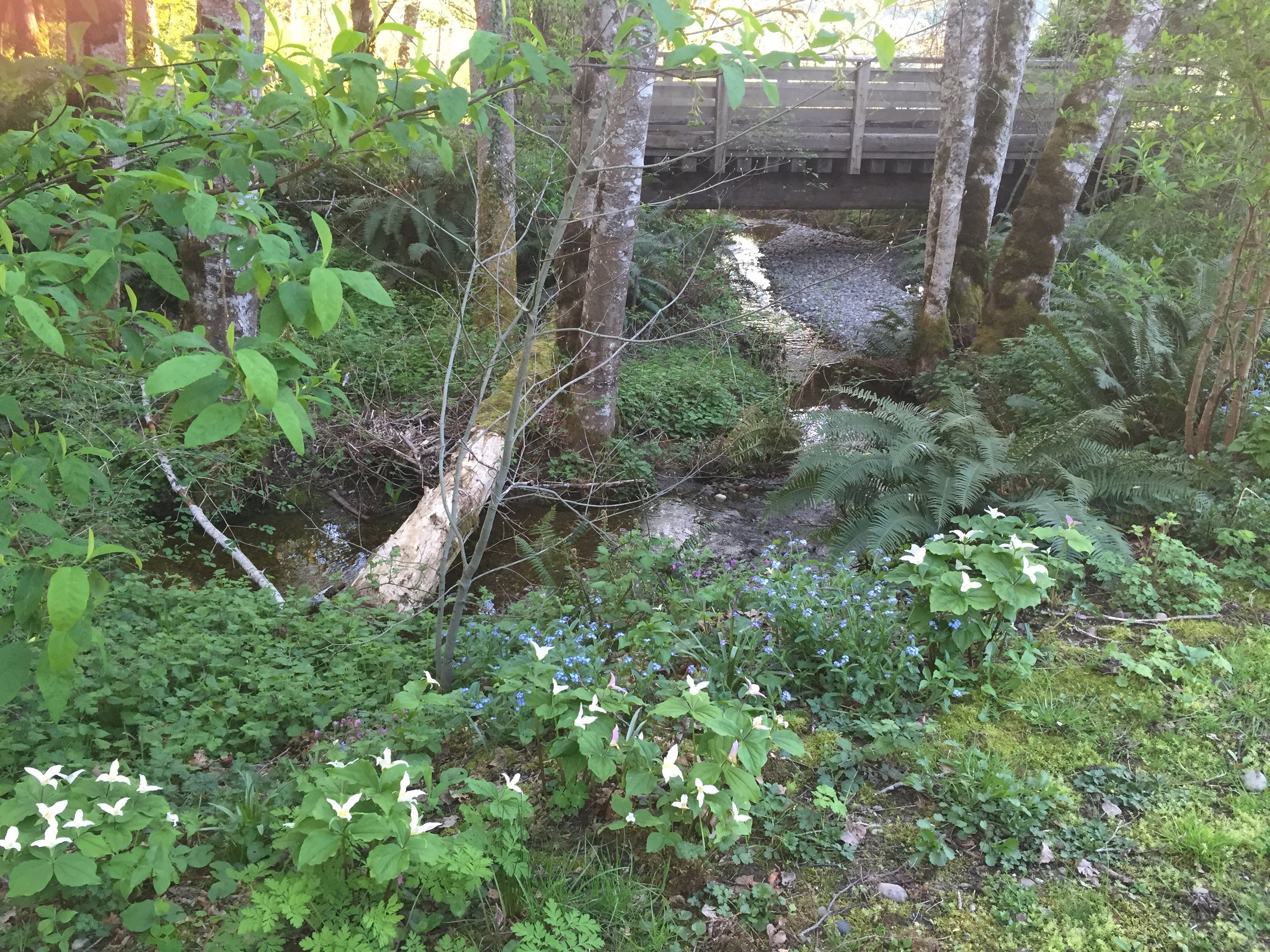 IMG_0745.jpeg