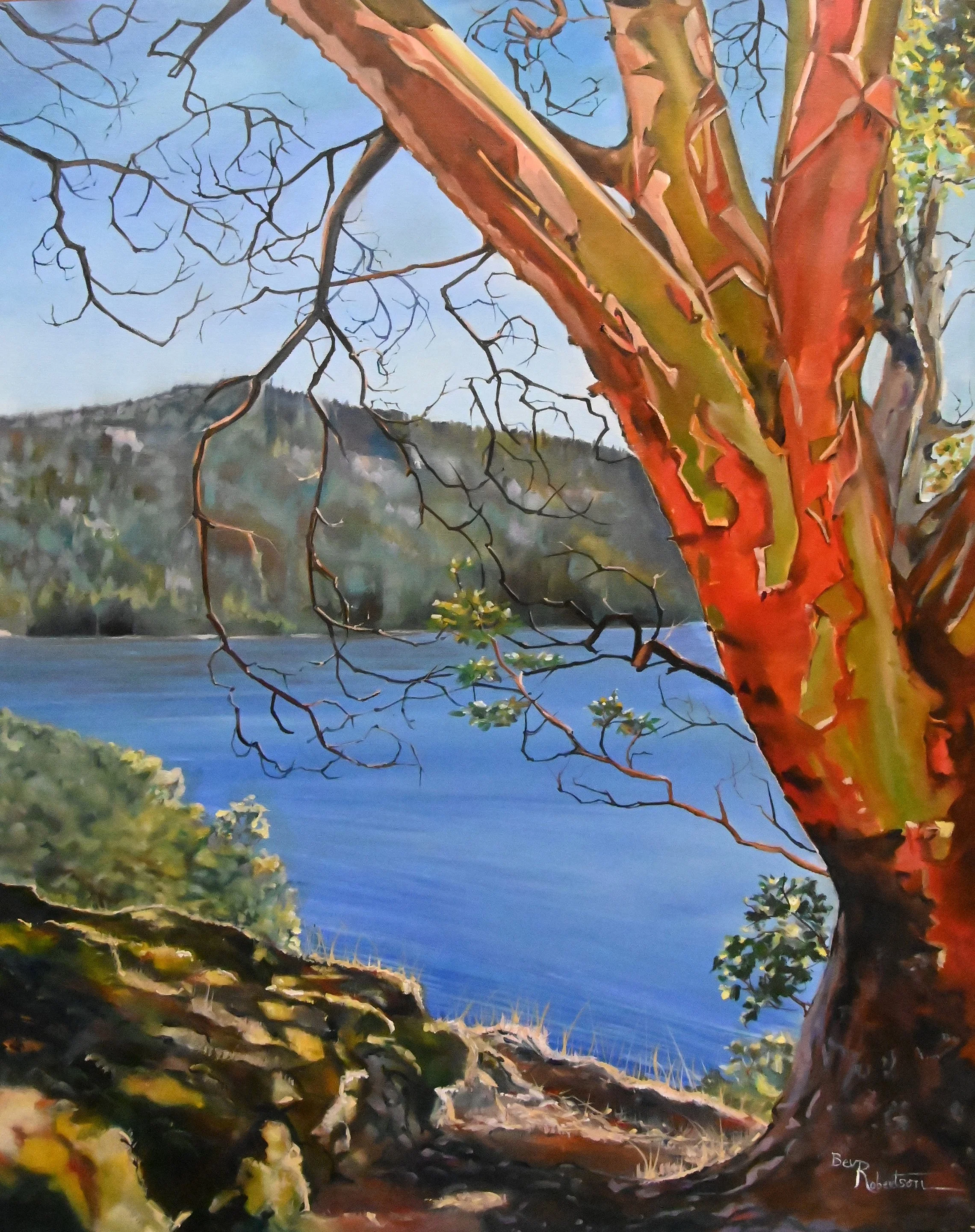 Bev Robertson Samson Narrows48x10 copy.jpg