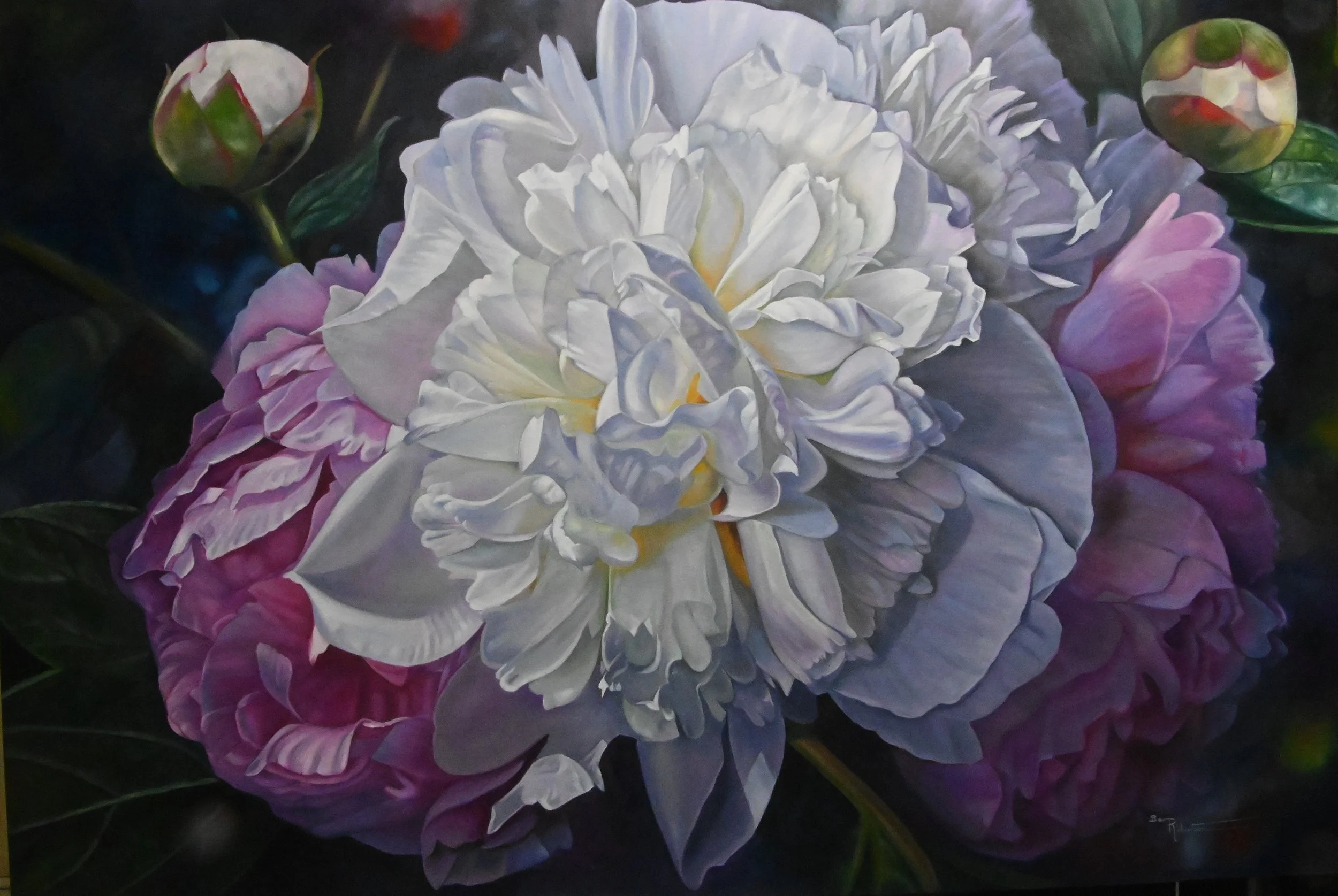 bevrobertson-Peonies.JPG