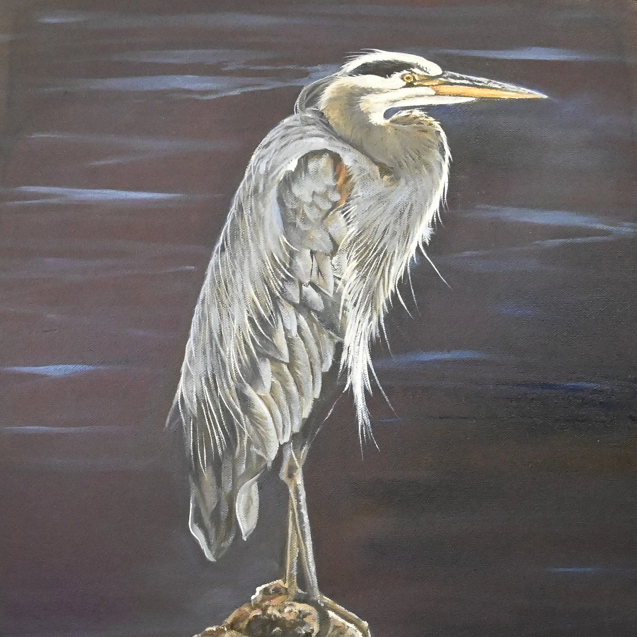 On the Rocks 16 x20 Oil on canvas