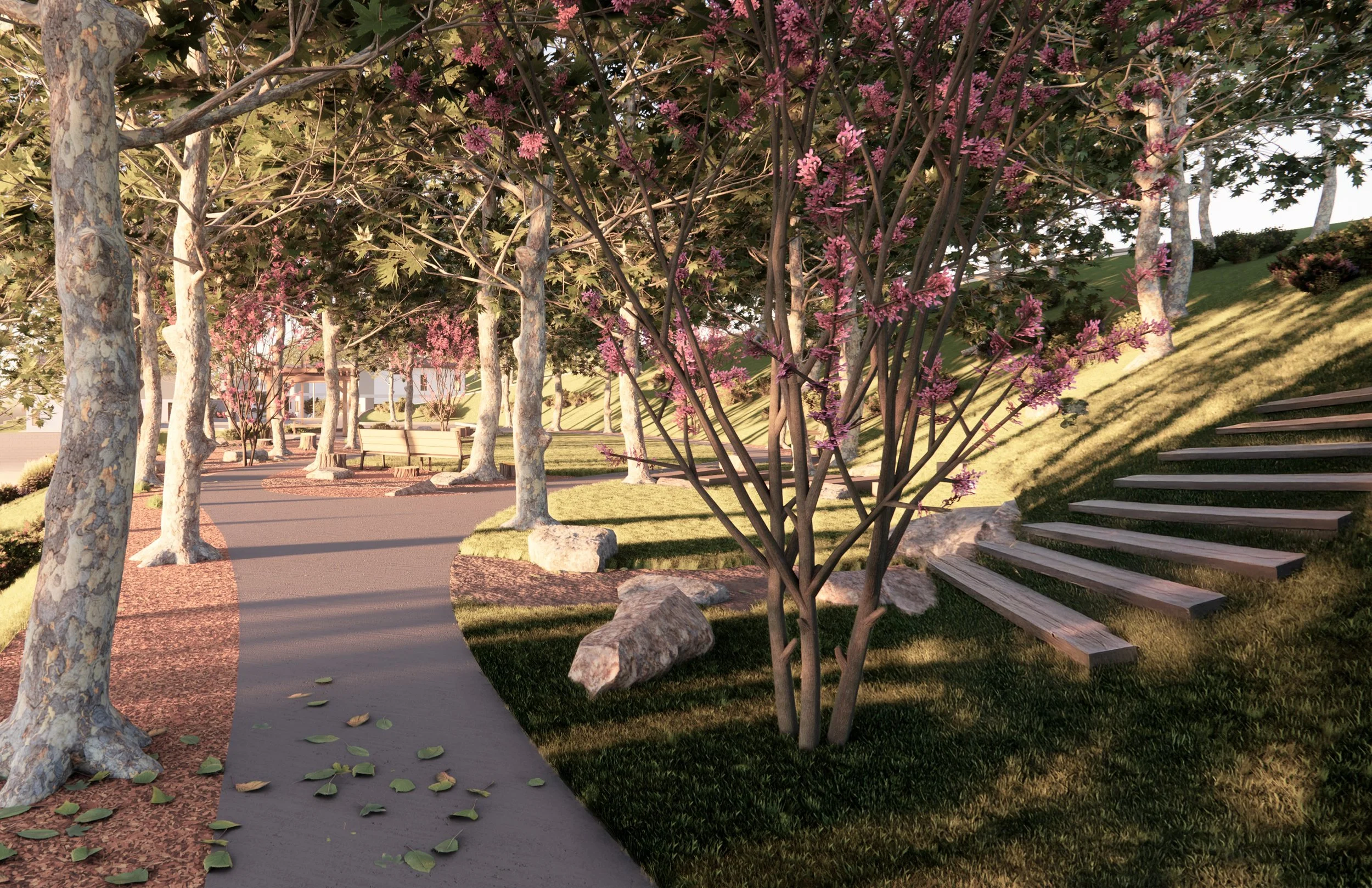 Park2.jpg