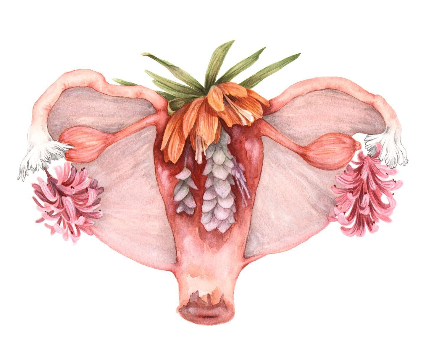 Did you know the uterus is essentially suspended in the pelvic cavity, held up by connective tissue and ligaments? ✨
That connective tissue, and those ligaments also keep the Fallopian tubes and ovaries in place. ✨
So what happens when that connectiv