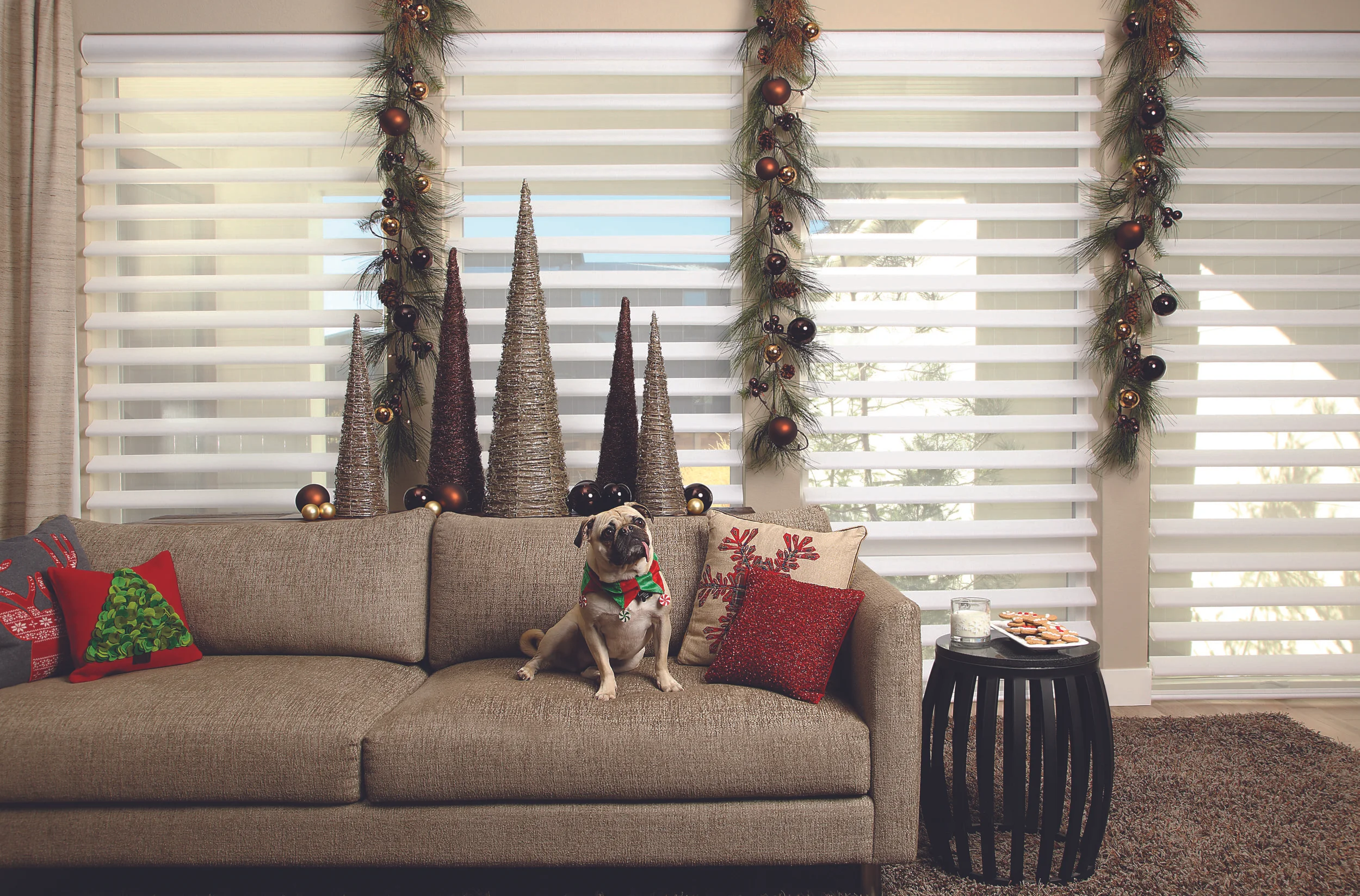 2015_PIR_Linen_LivRoom_Dog.jpeg
