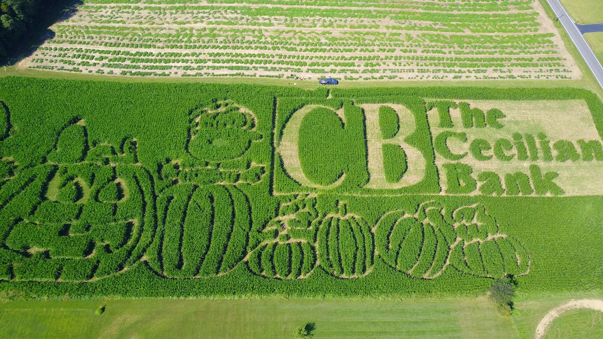 TCB Corn Maze.00_01_28_01.Still001.png