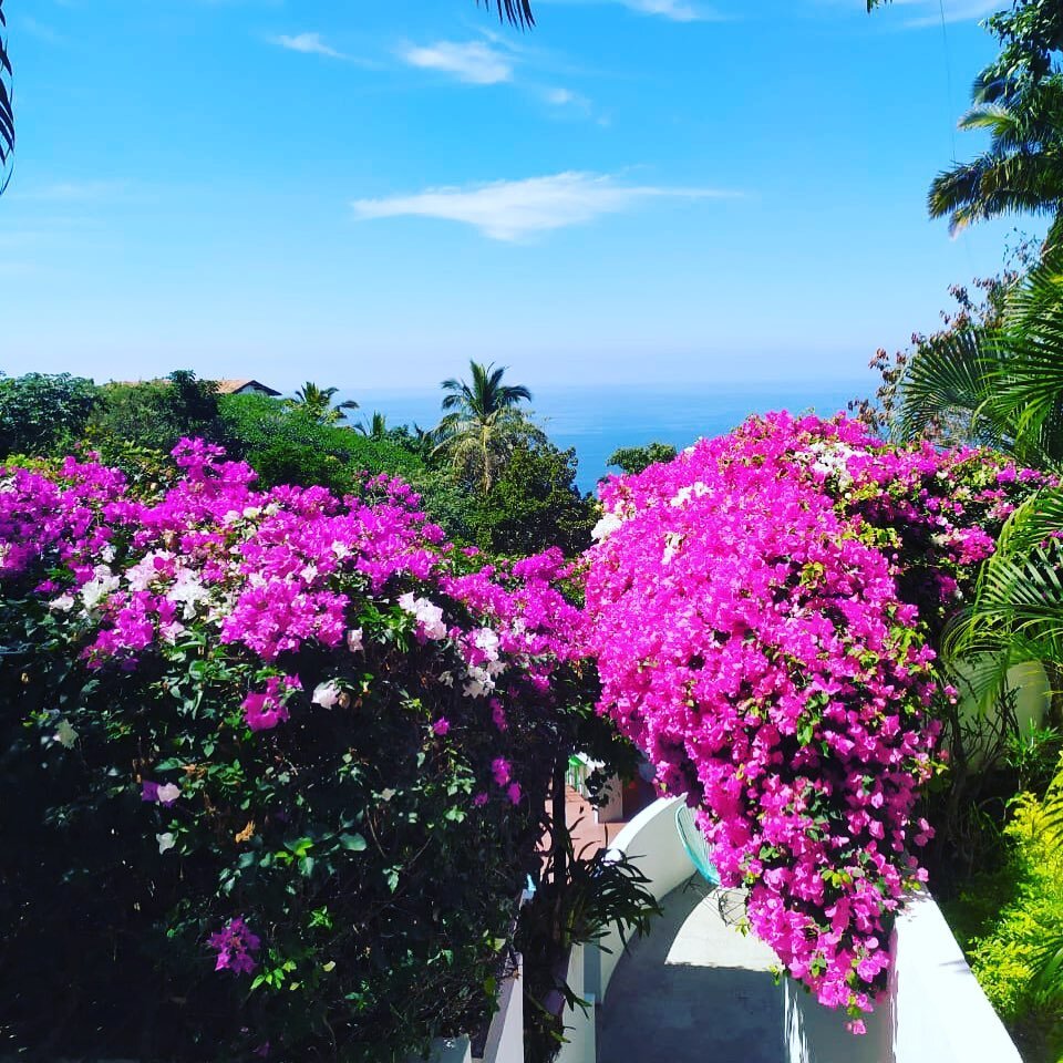 Spring is right around the corner!! Now that we are slowly starting to get back to a &ldquo;normal&rdquo; - plan your next trip to Puerto Vallarta and book a stay at our beautiful Villa! 🐳
.
.
.
.
.
.
.
.
.
.
#puertovallartamexico #puertovallartawed