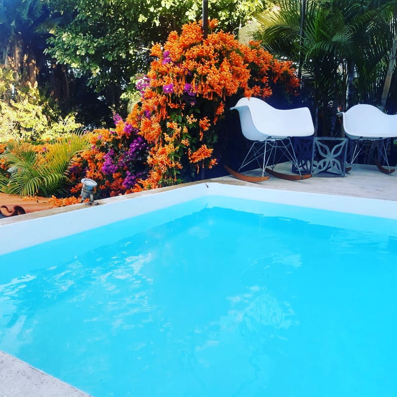 Private Plunge Pools!! Every single room in our Villa had their own private plunge pool. Book your stag with us.... we&rsquo;ll have the margs and martinis waiting for you 😉.

.
.
.
.
.
.
.
.
.
.
#puertovallartamexico #puertovallartawedding #vallart