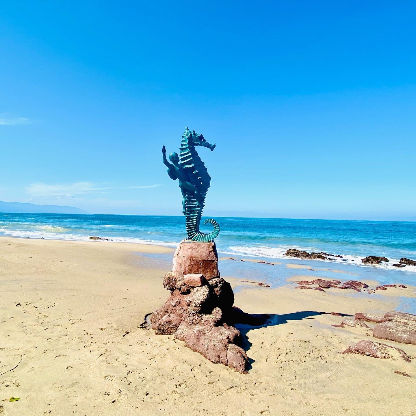 Boy on a Seahorse - Las Pilitas
9 min walk from Nemi Eco Villa! (Read More👇)
Everybody knows the seahorse sculpture on the Malecon, it's Puerto Vallarta's symbol, what most people don't know is that the original statue is located in Las Pilitas on L