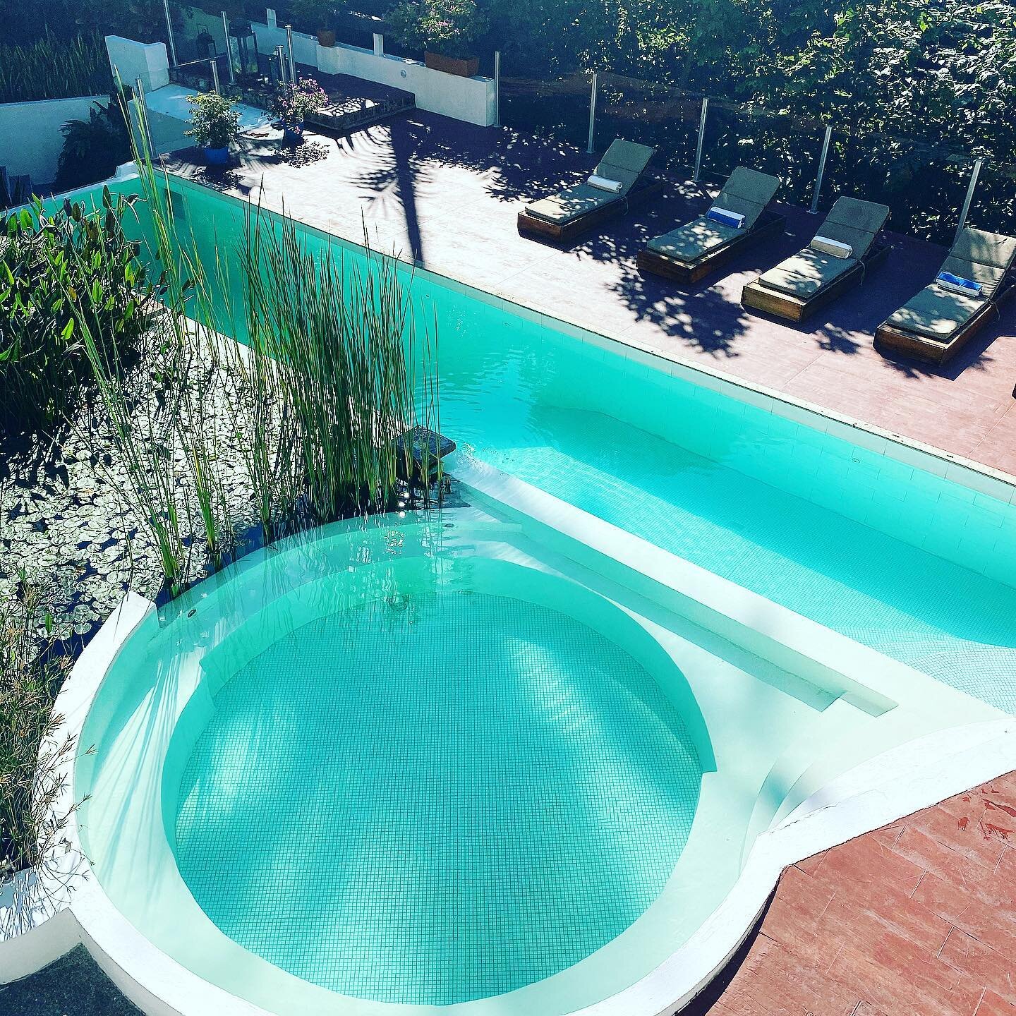 Fun Fact - The pool at Nemi Eco Villa is completely eco friendly! It uses plants and sand as its filtration system making it 💯 green and chemical free!

.
.
.
.
.
.
.
.
.
.
#puertovallartamexico #puertovallartawedding #vallartavibes #puertovallarta 