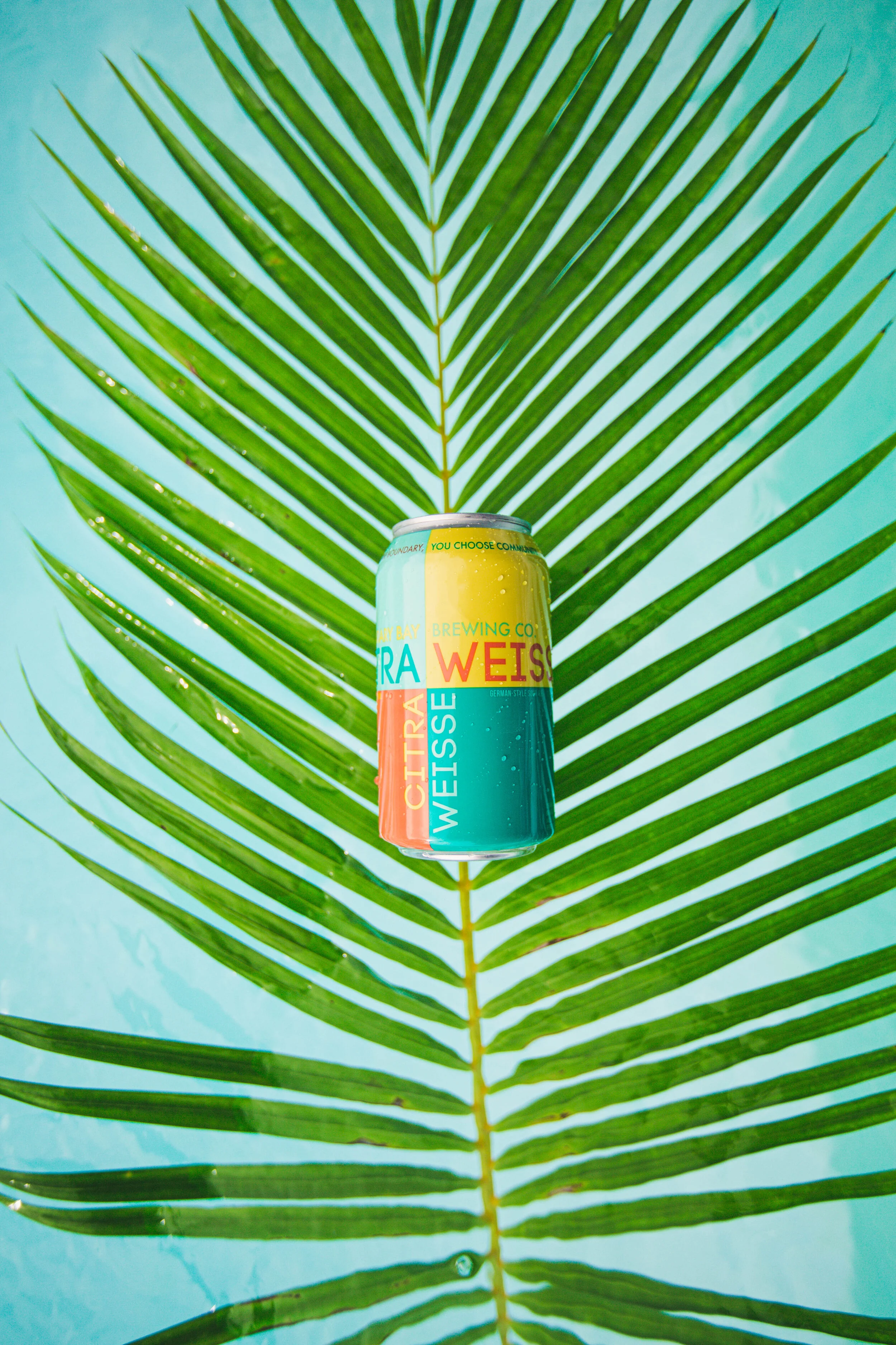 Citraweisse-1-73.jpg