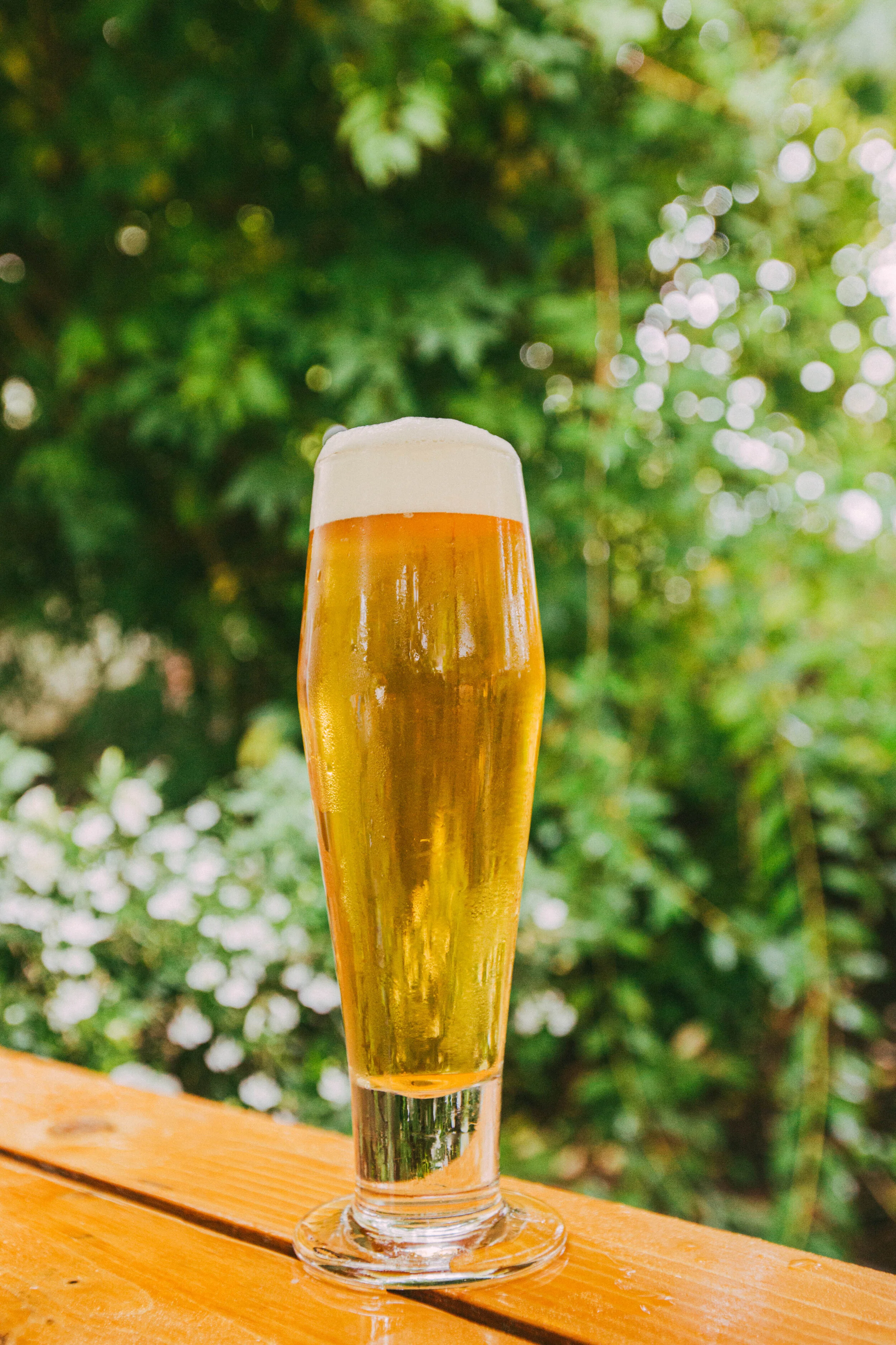 Pilsner-1-14.jpg