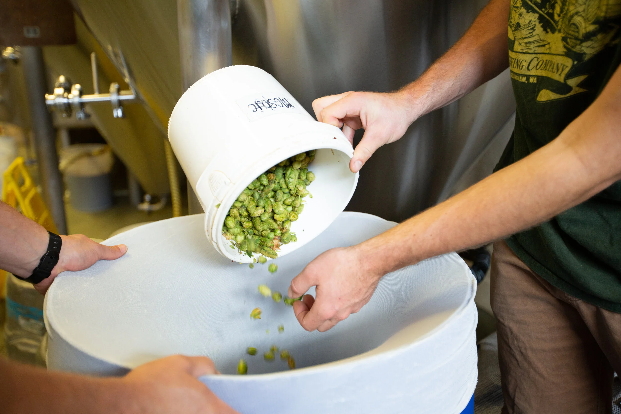 hops-11.jpg