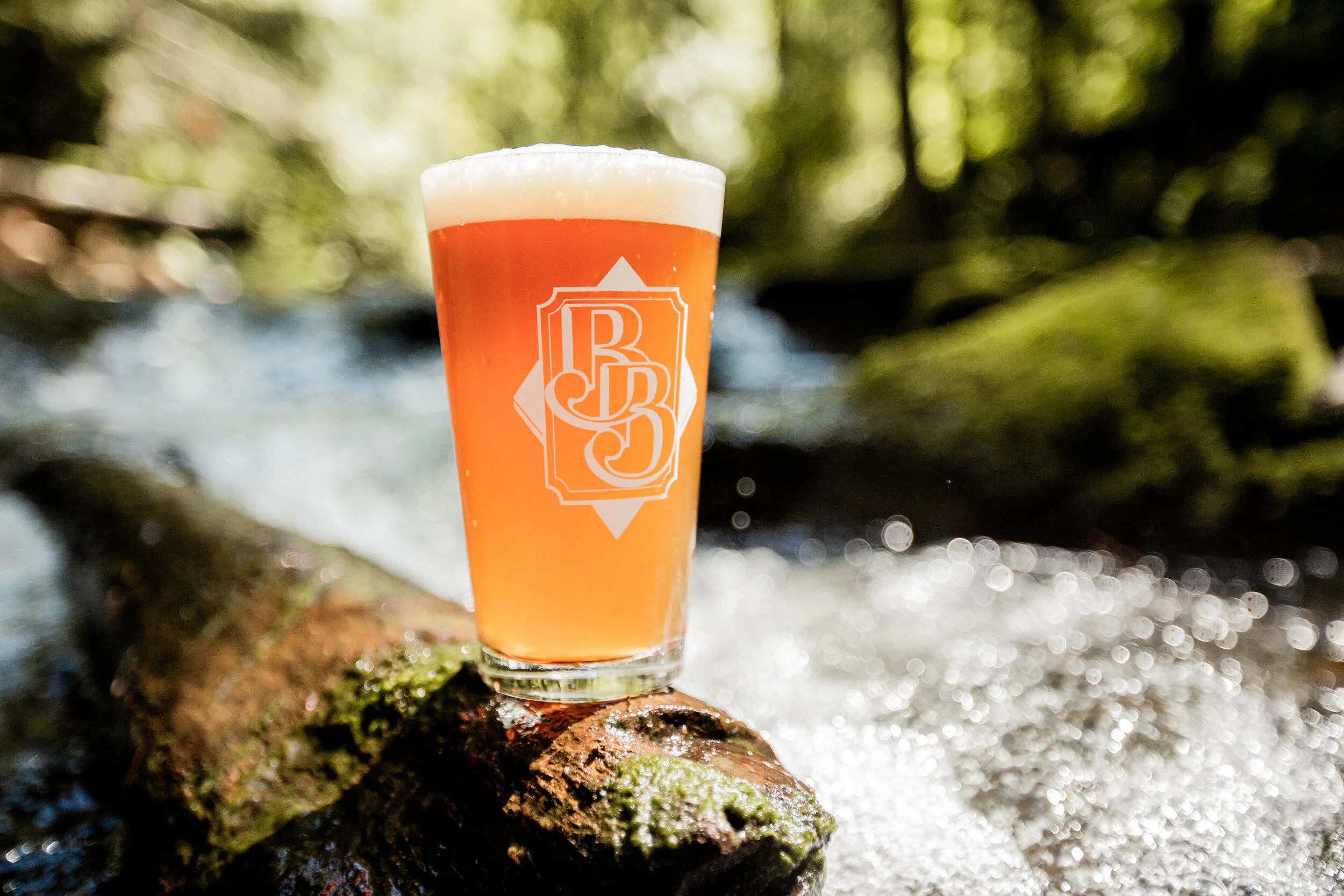 Traverse IPA-1-8 (2).jpg
