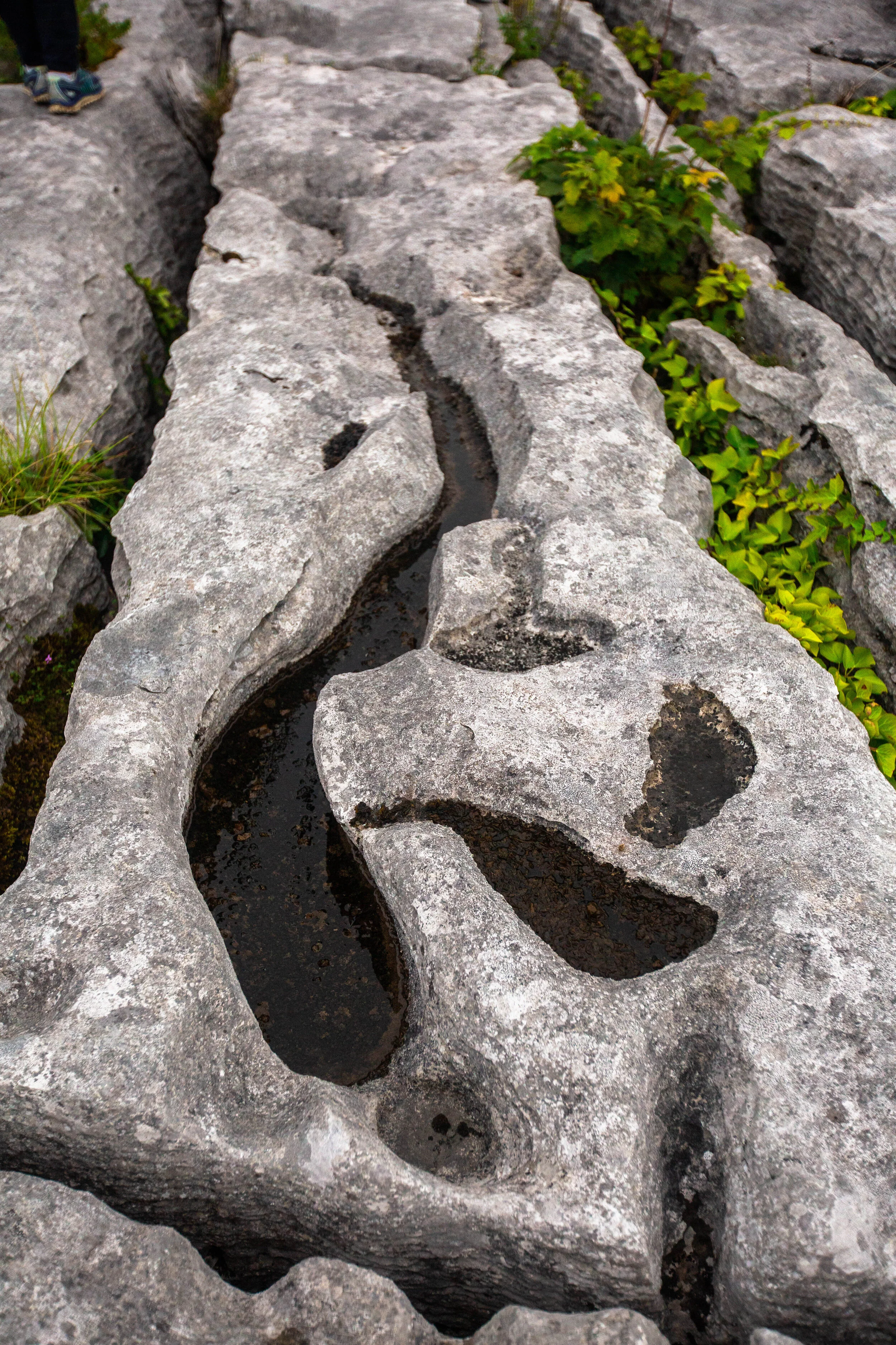 Rock formations in The Burren, Ireland