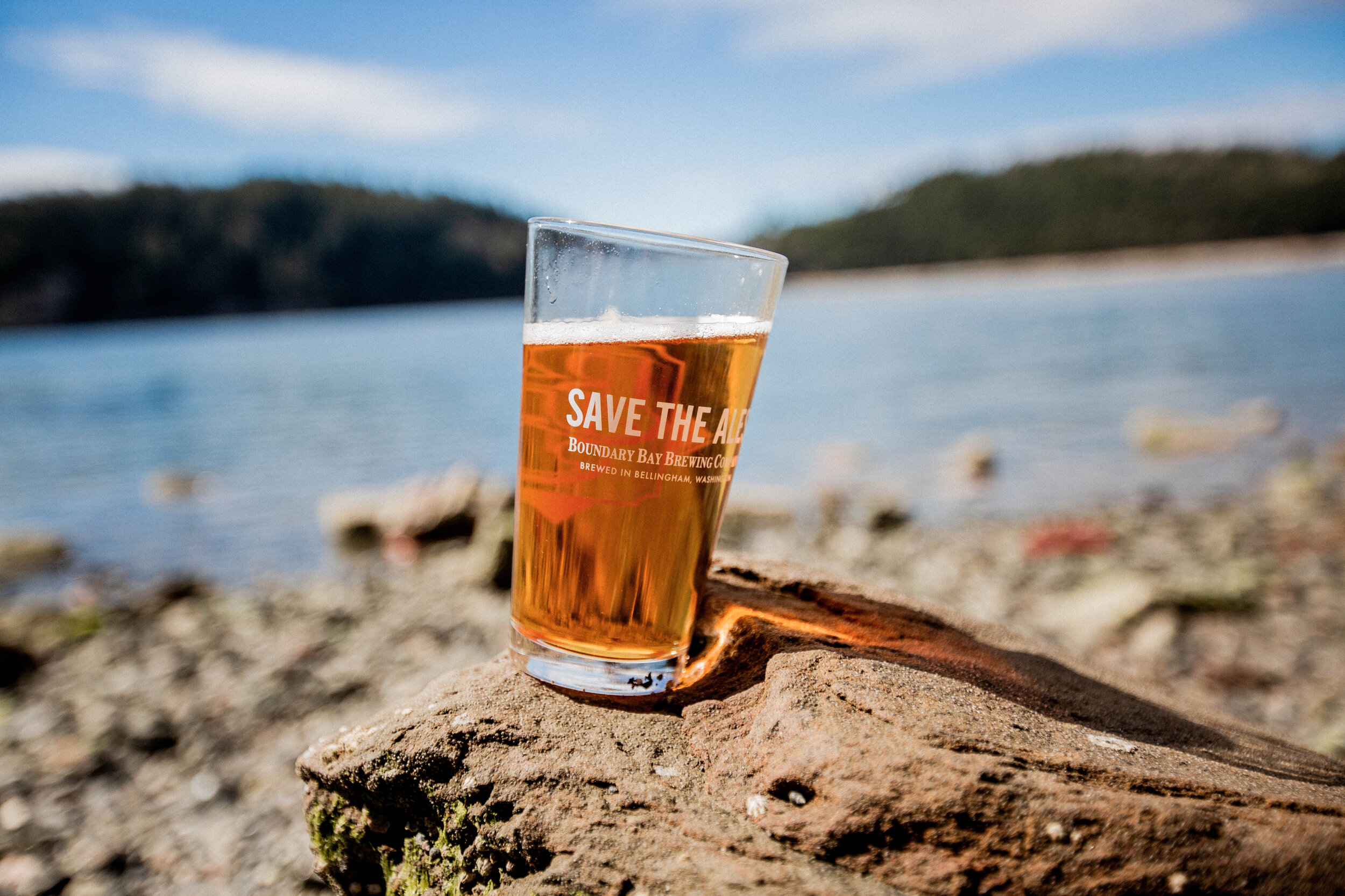 Beach photoshoot-1-76 (1).jpg