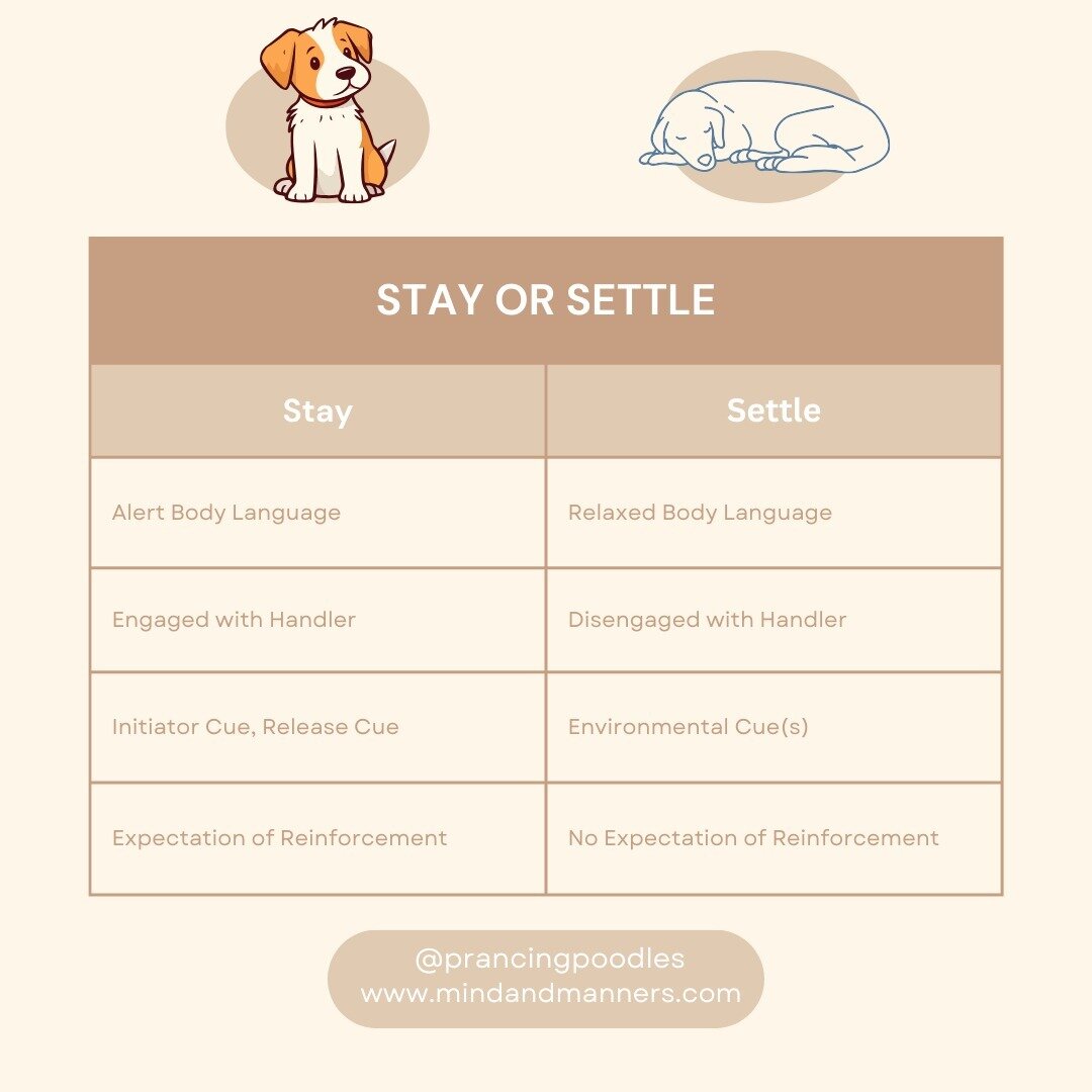 Guess what, my new blog post is up. This time, we're delving into settle training.
.
The link is in the bio, and please don't forget to like and share if you find the content useful.
.
At some point I'll make a better set of posts for social media to