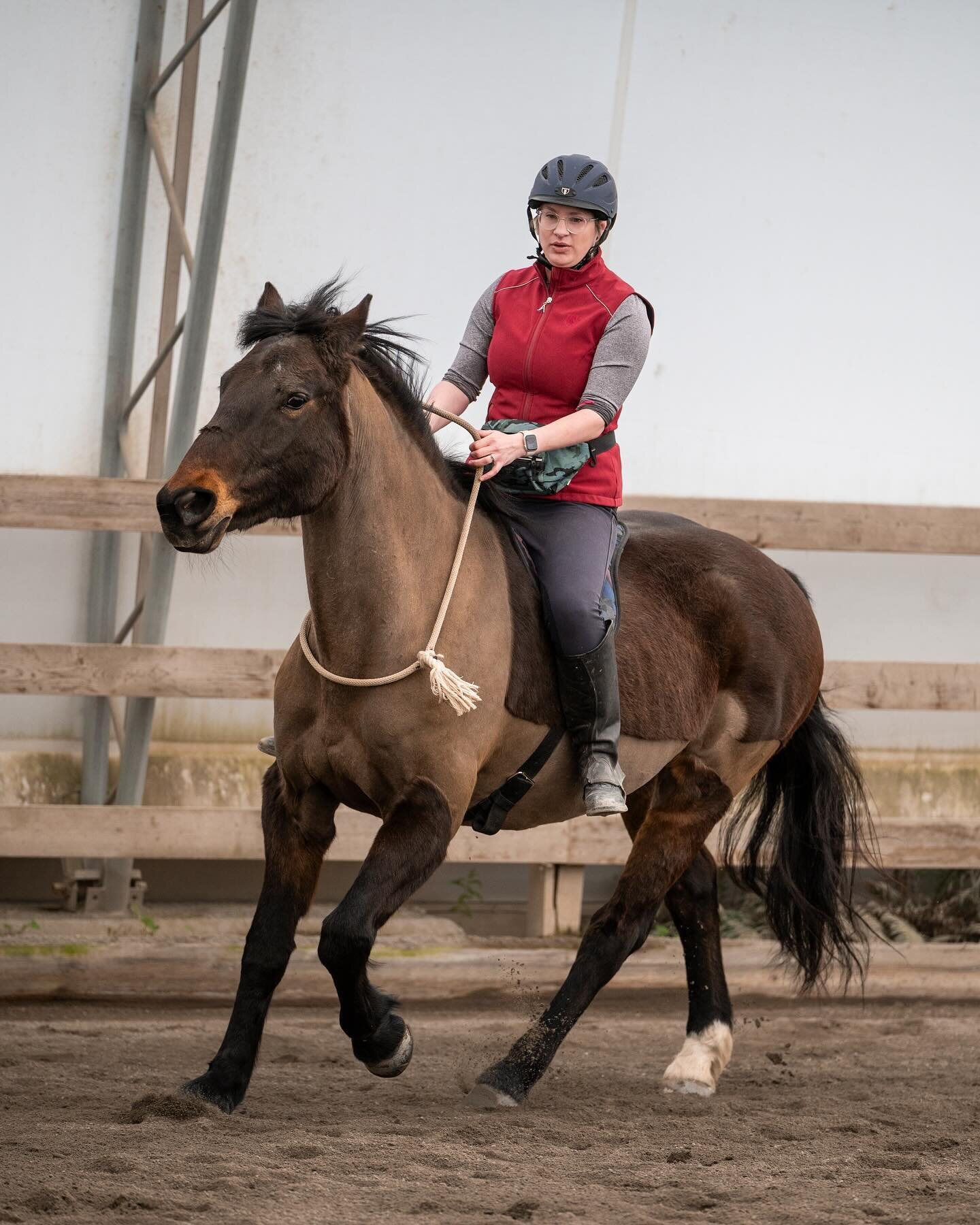 Some of my favorite shots of Echo captured by @bordercolliesolo. This session was VERY short for a number of reasons but Emily got some excellent shots in spite of this!
.
Training with Echo has been such a journey. Animals have a lot to teach you, i