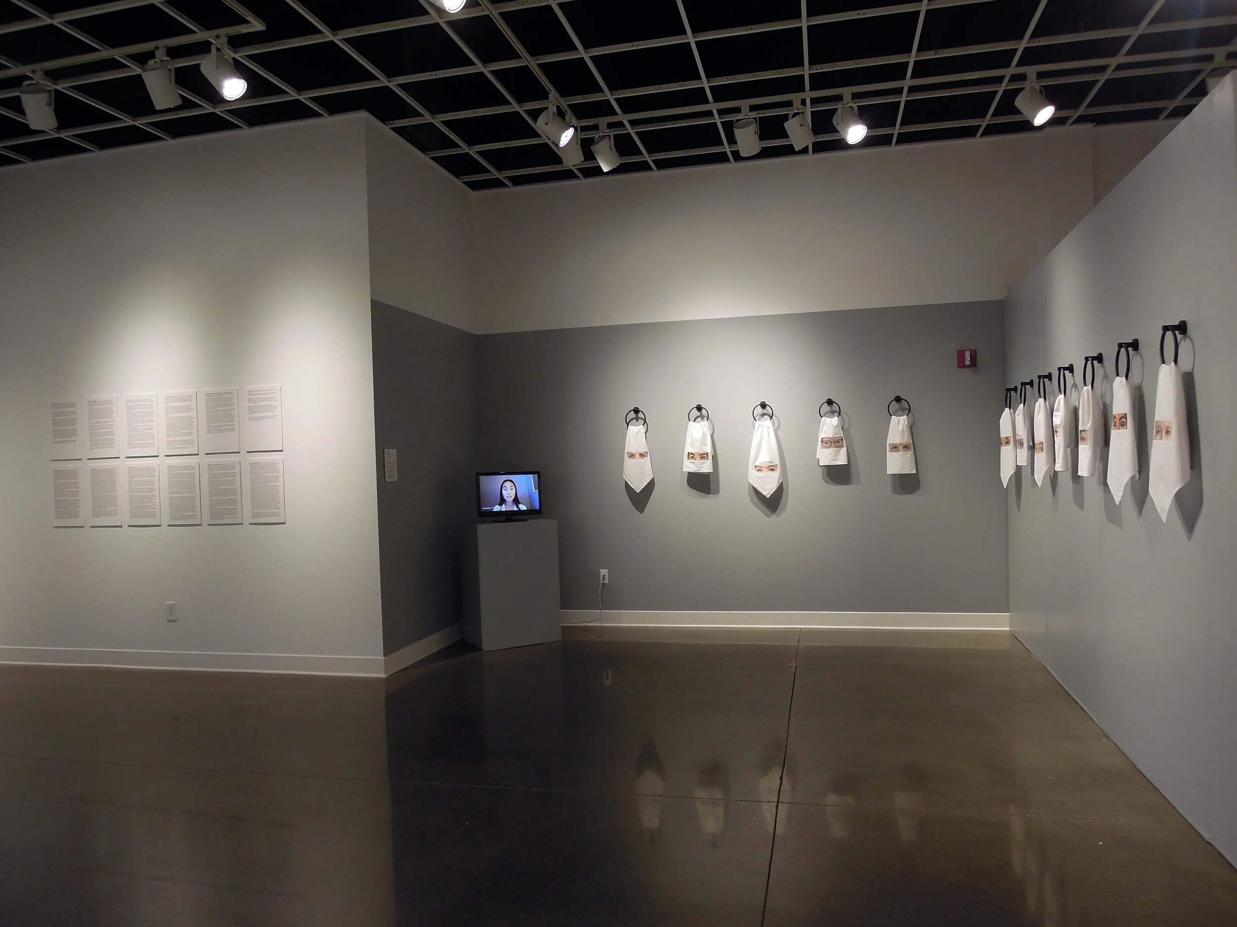 Becoming Visible, installation view