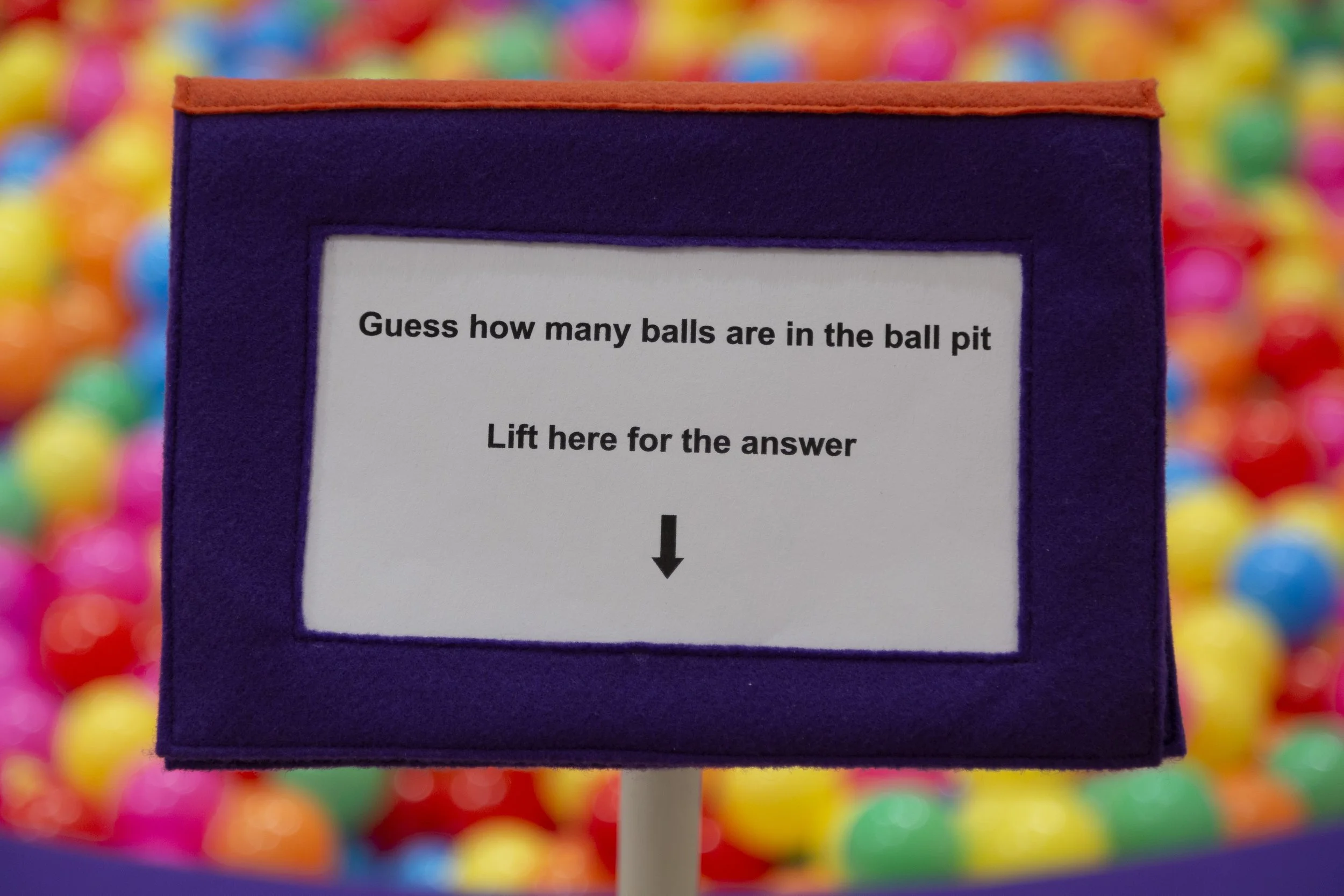 How Many_detail question.JPG