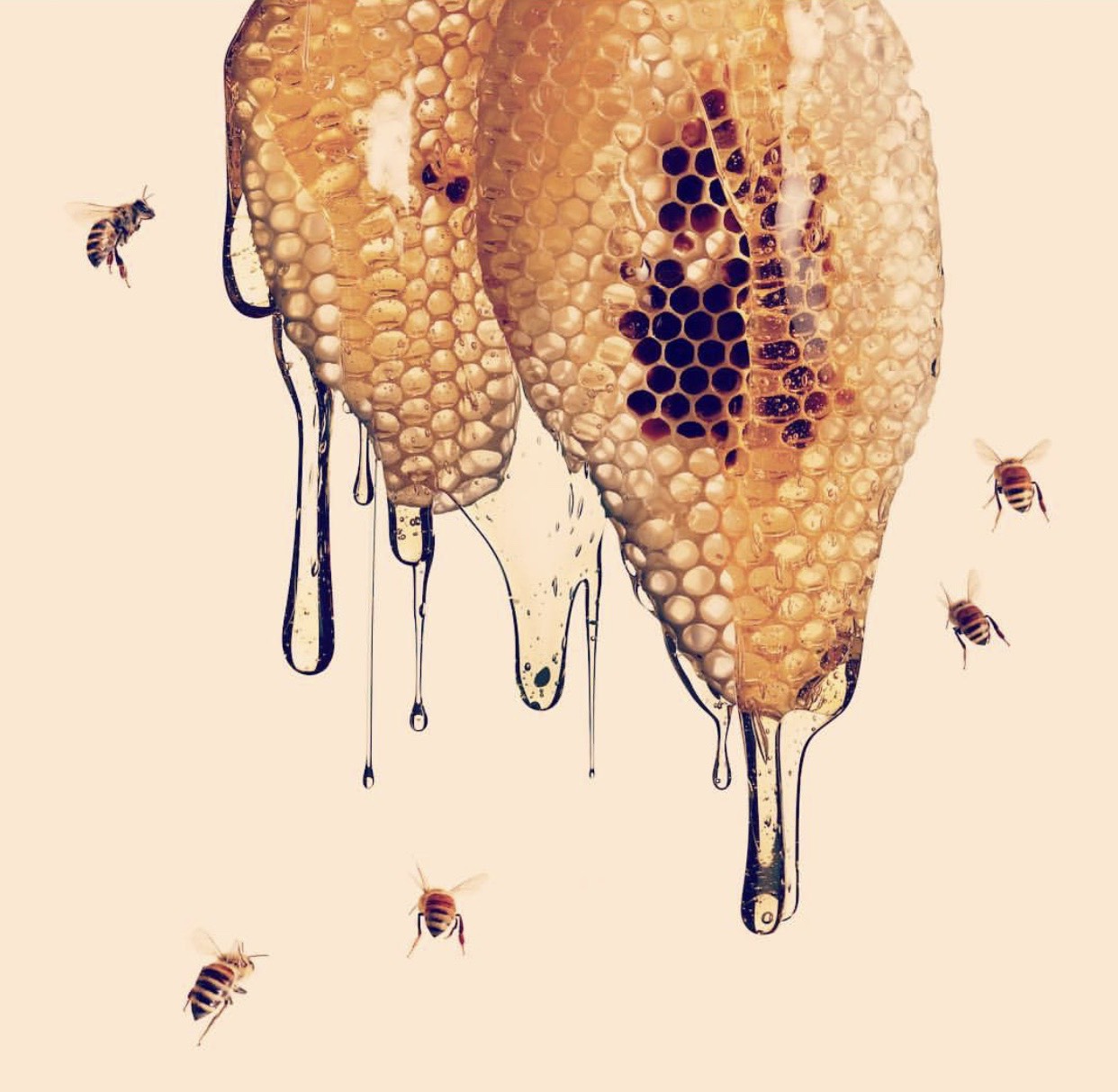 honey.jpg