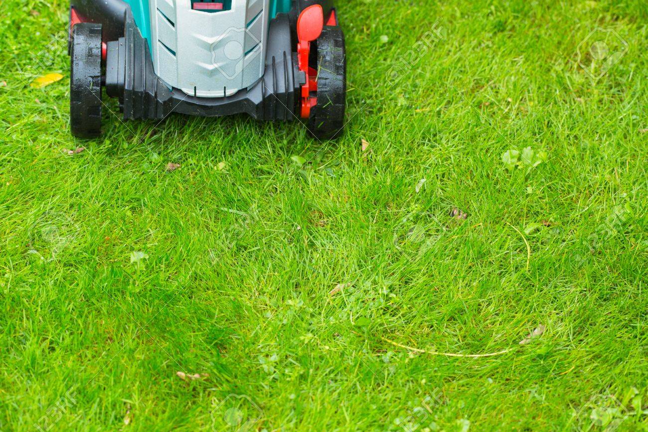 cutting grass.jpg