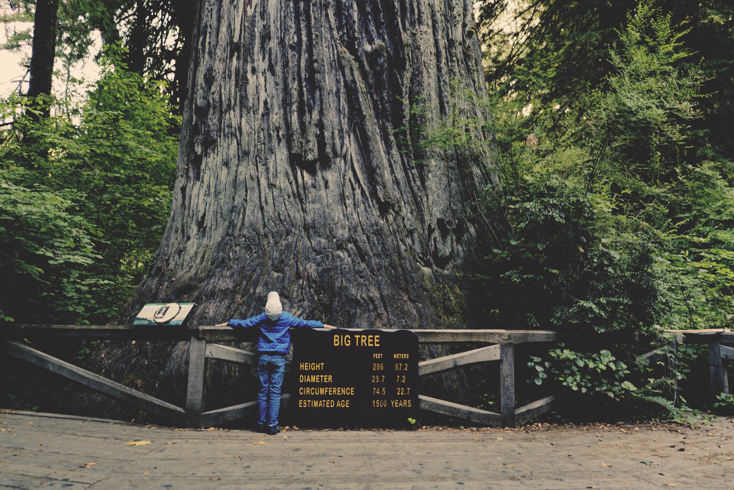Photo by Clint McKoy on Unsplash