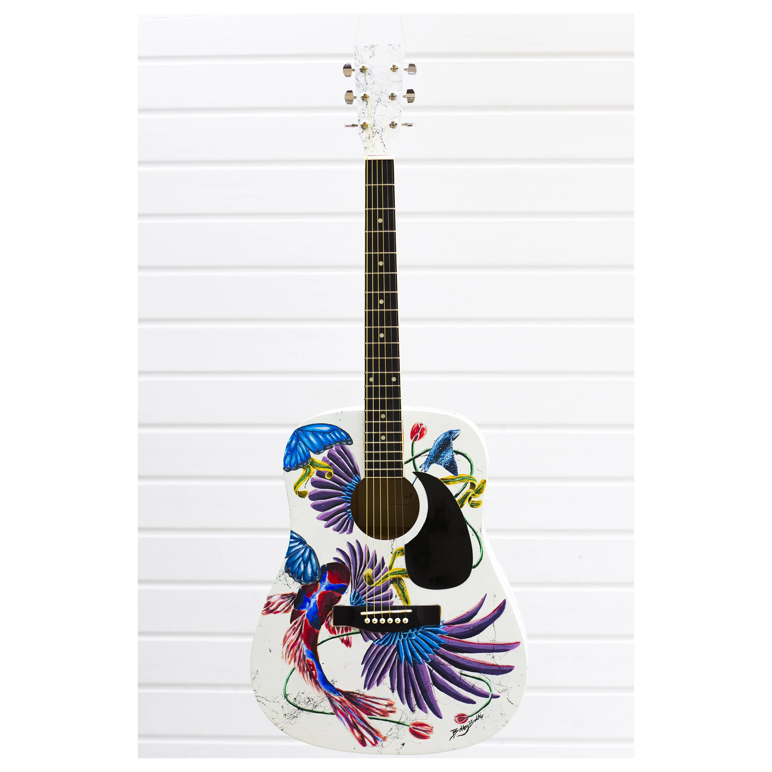 Custom Painted Acoustic Guitar