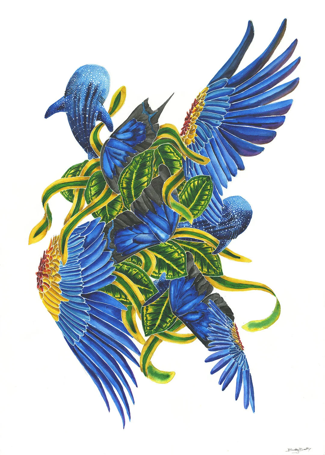 Calm collision 01.jpg