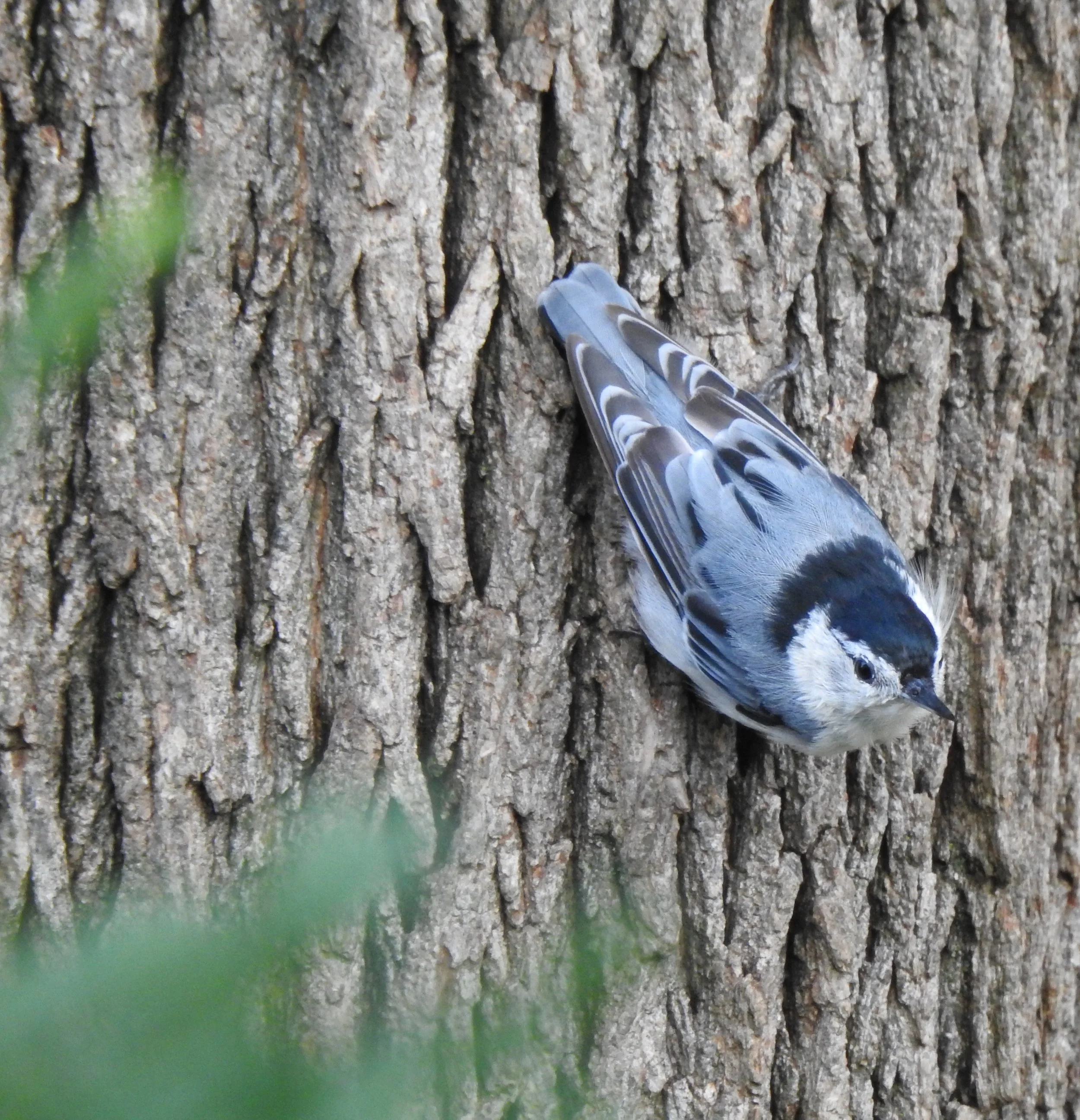 DSCN6261.JPG