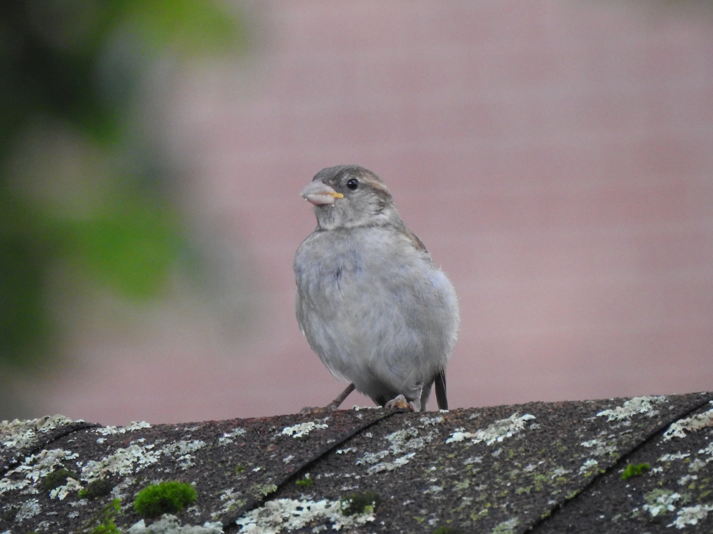 DSCN6472.JPG