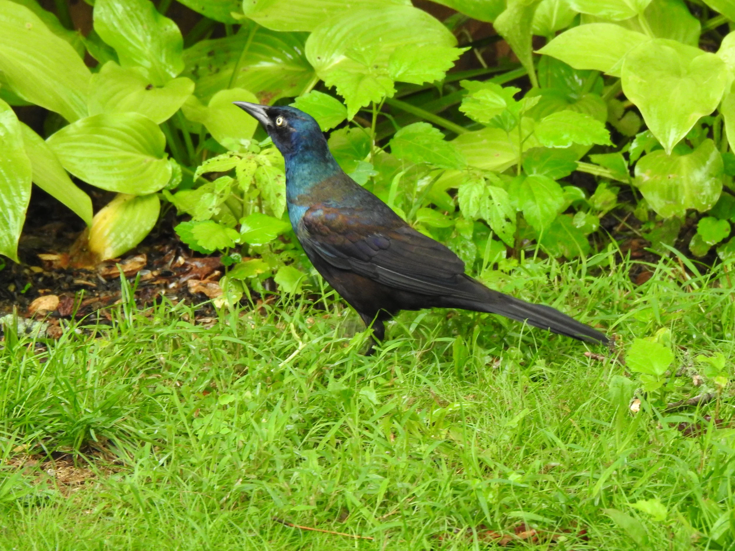 DSCN6422.JPG