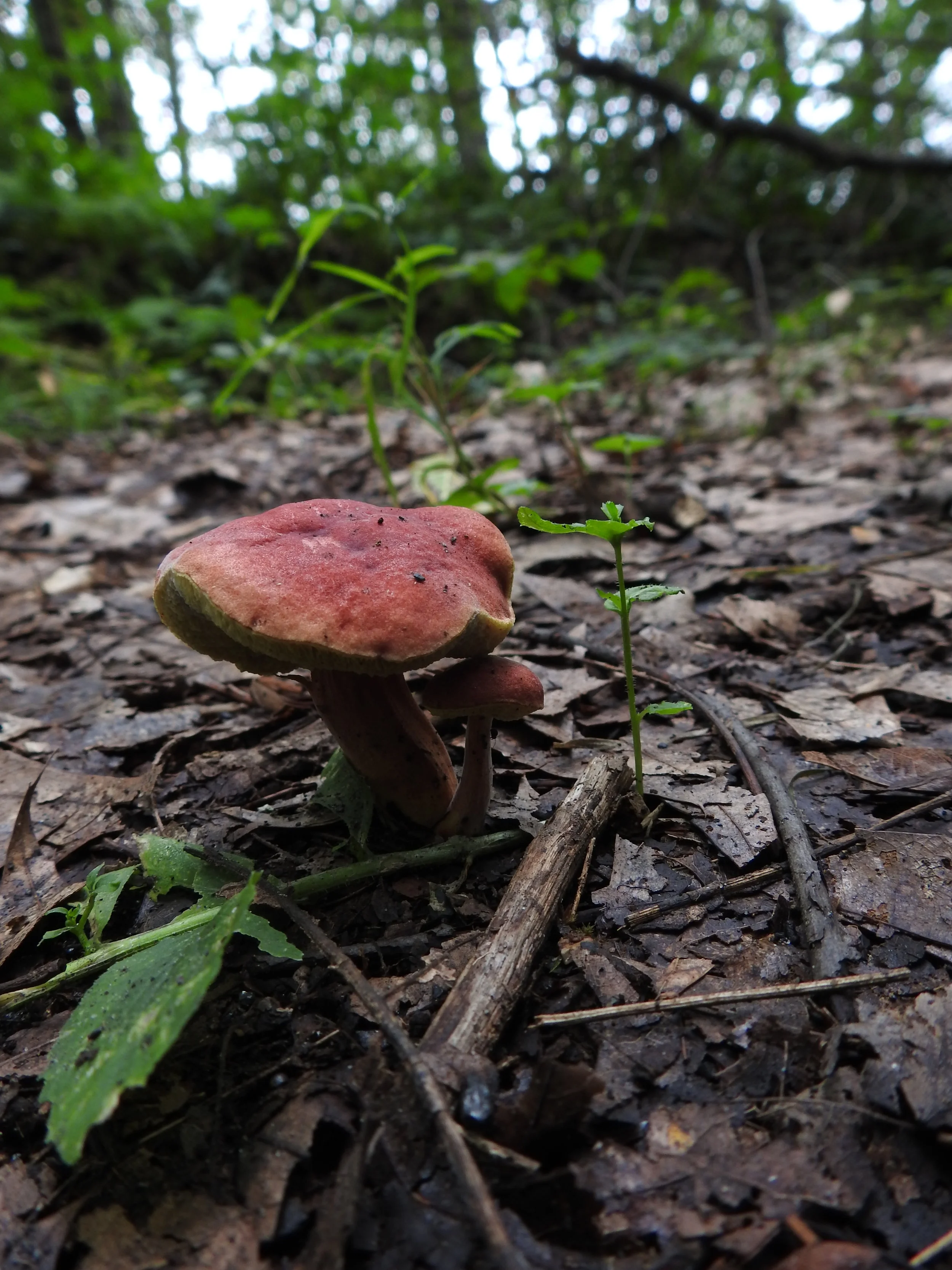 DSCN8580.JPG