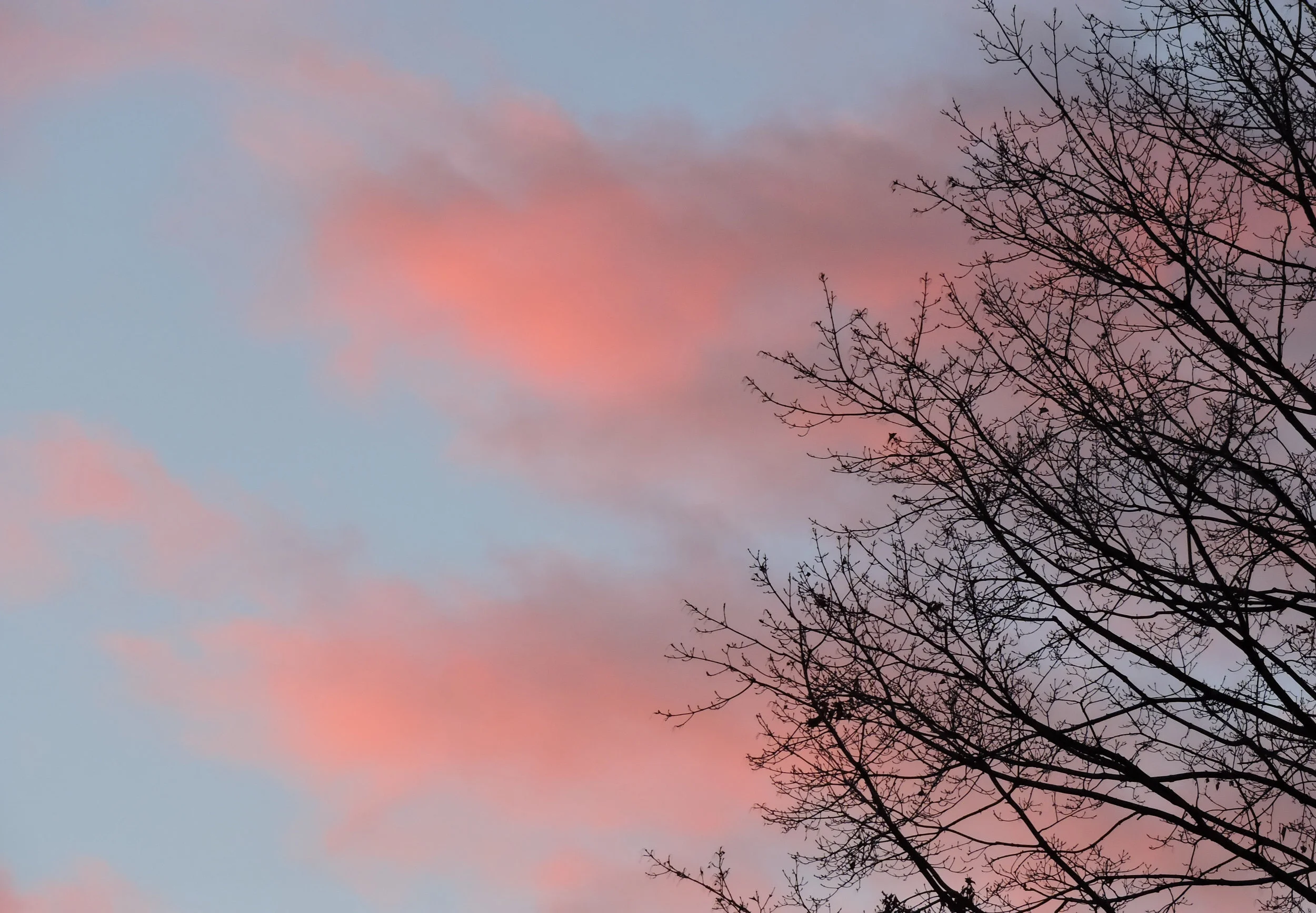 DSCN9108a.jpg