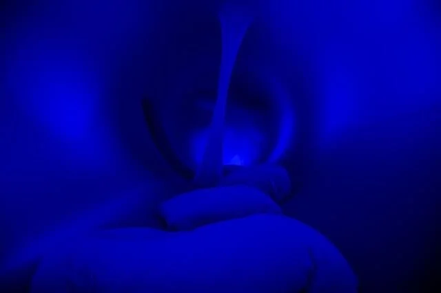 Zohar Concepts is the work of lighting designers Amanda Szabo (Hungarian) and Agapeh Allahverdi (Los Angeles)
-
We want to create experiences where we can relax for a short while, creating quiet zones where we can eliminate the loud and stressful noi