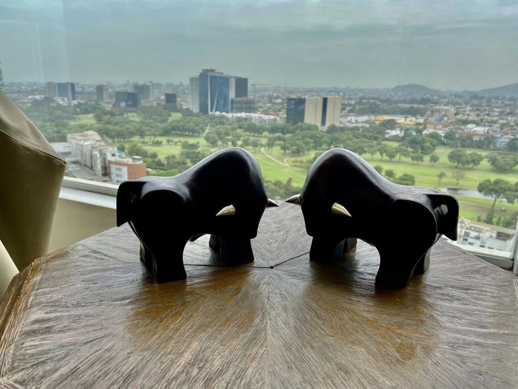 Toros Volteados 3.jpeg