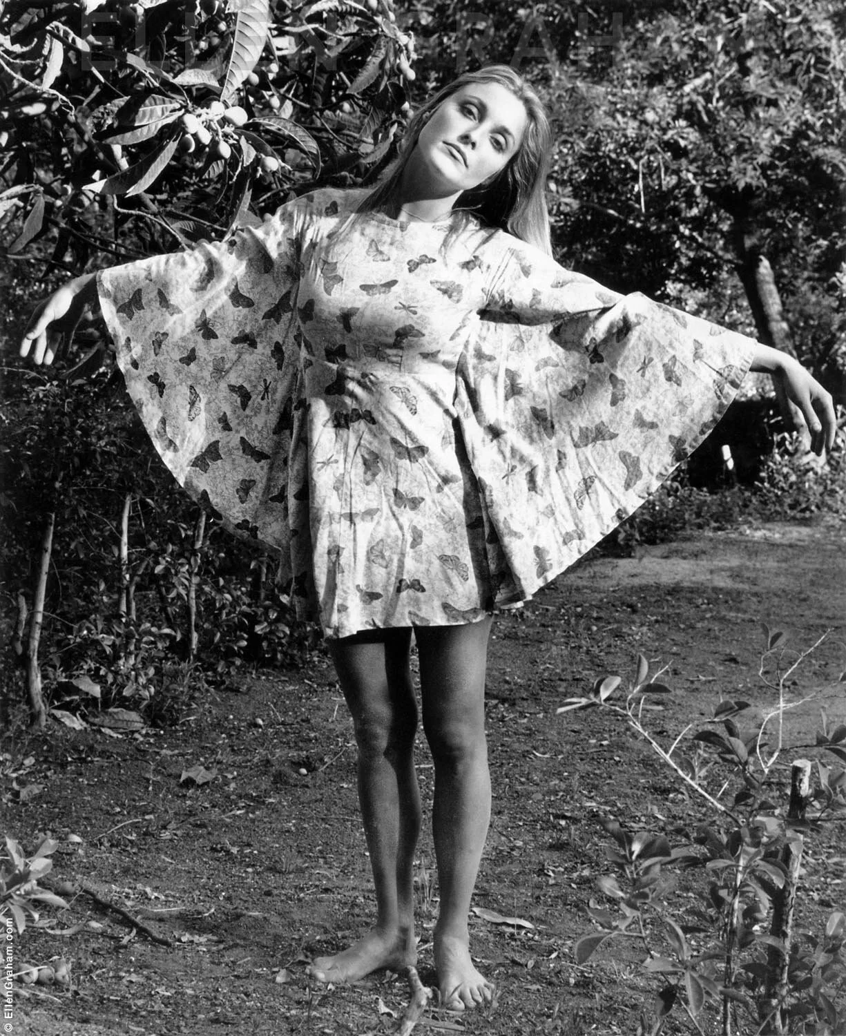 Portraits T-Z — Ellen Graham