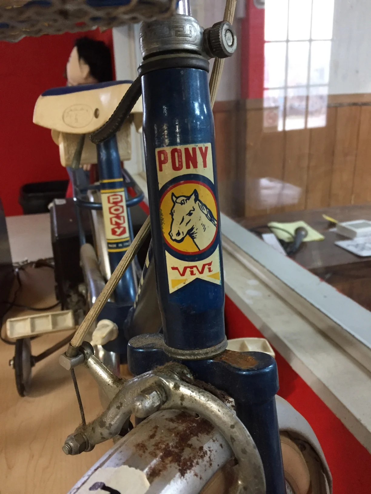 pony 1.JPG