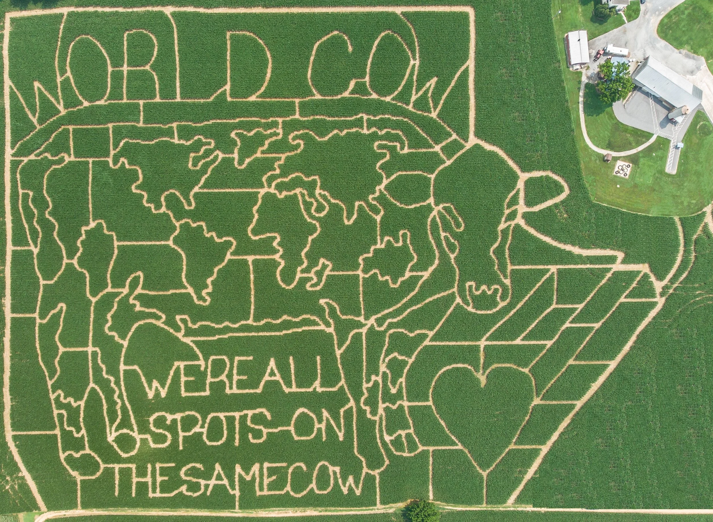 Oregon Dairy's 2021 World Cow Corn Maze