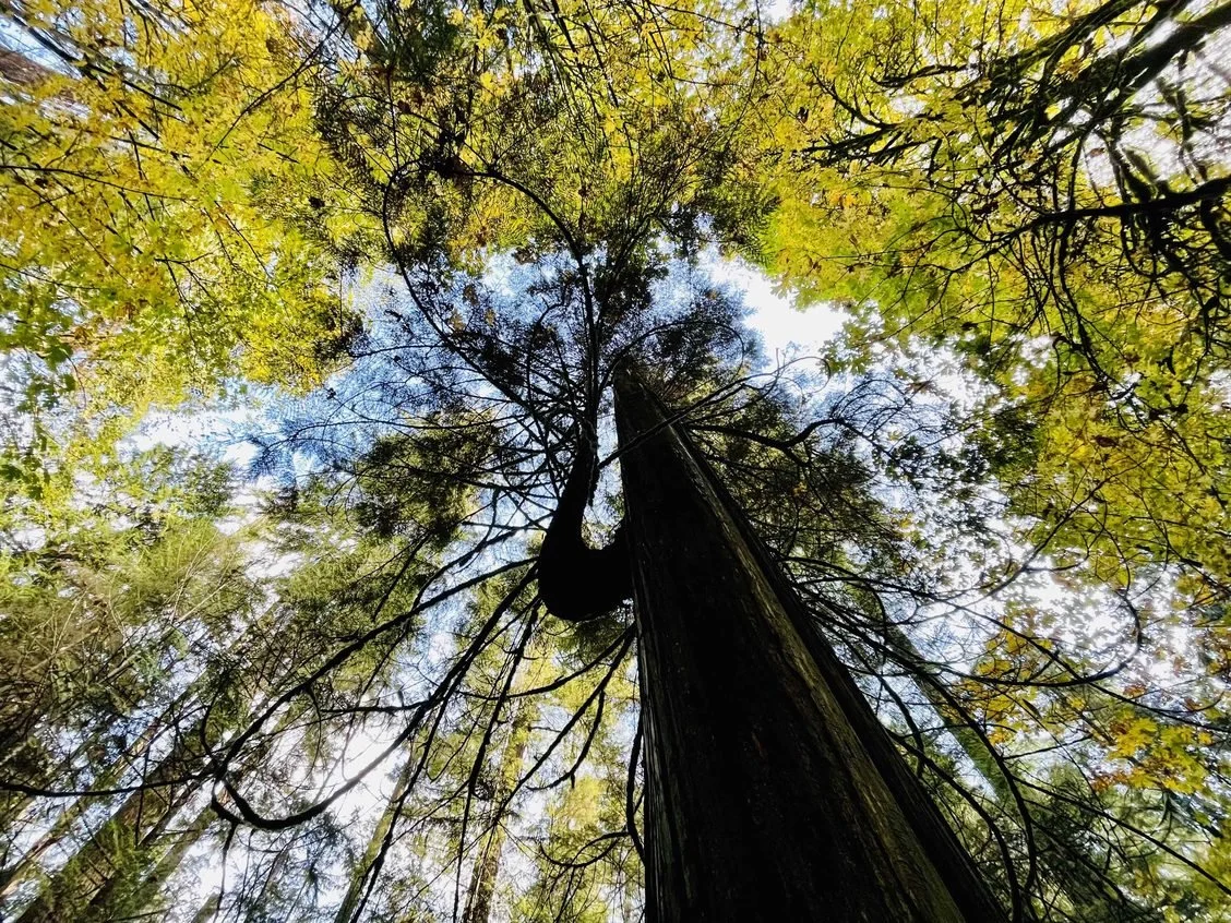 autumn 2021 newsletter 