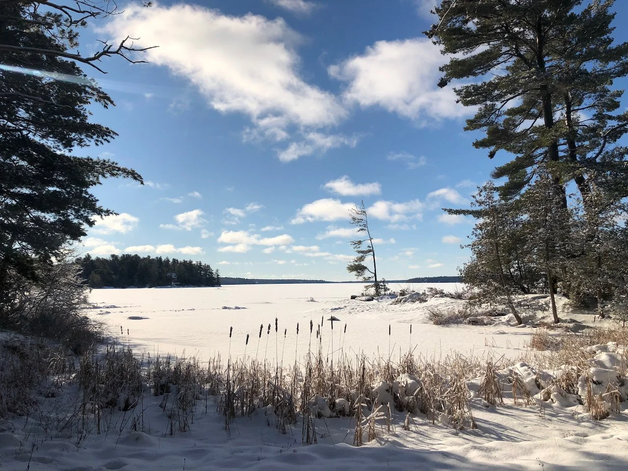 2023 Winter Newsletter