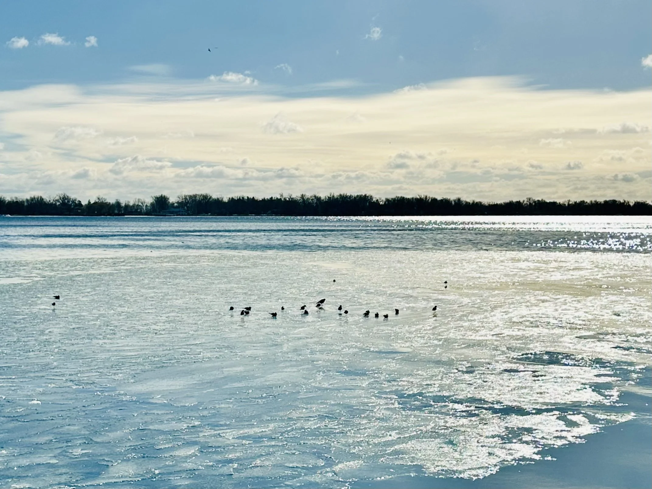 2025 Winter Newsletter