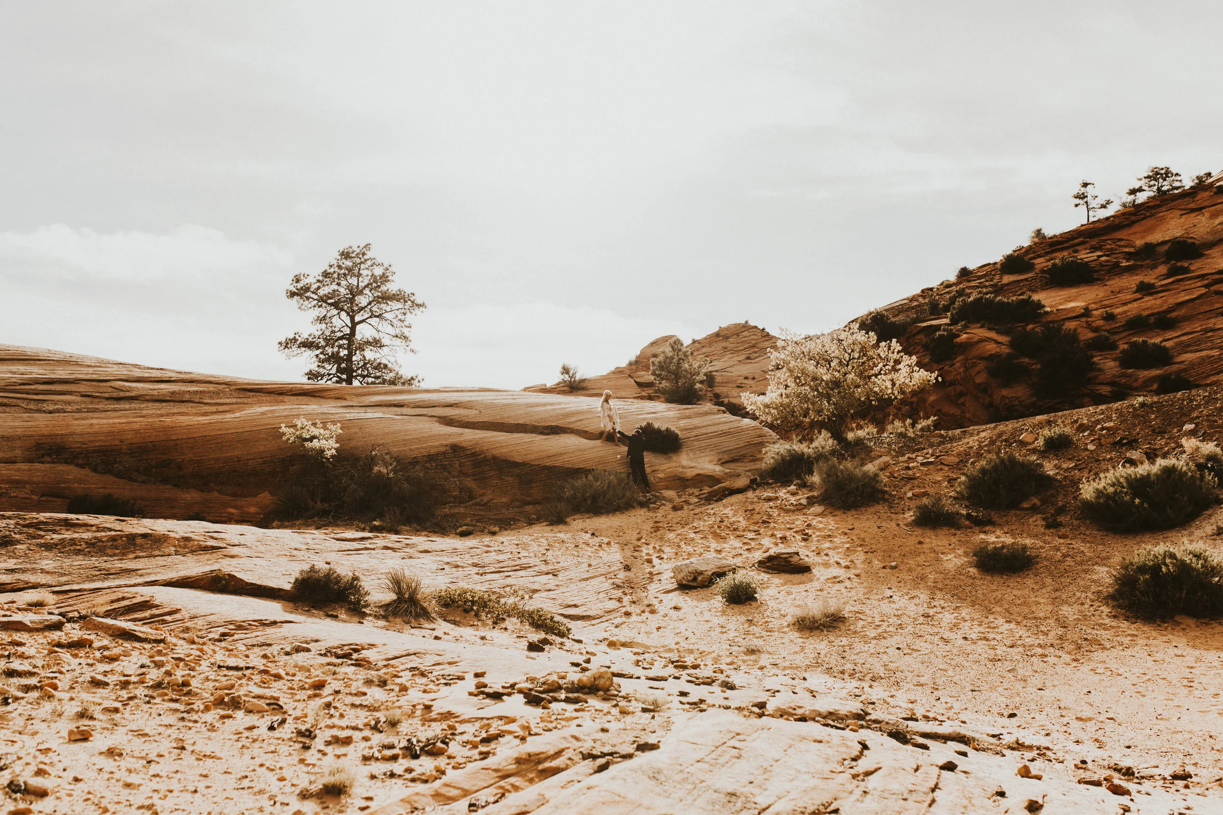 Zions national park bridal session