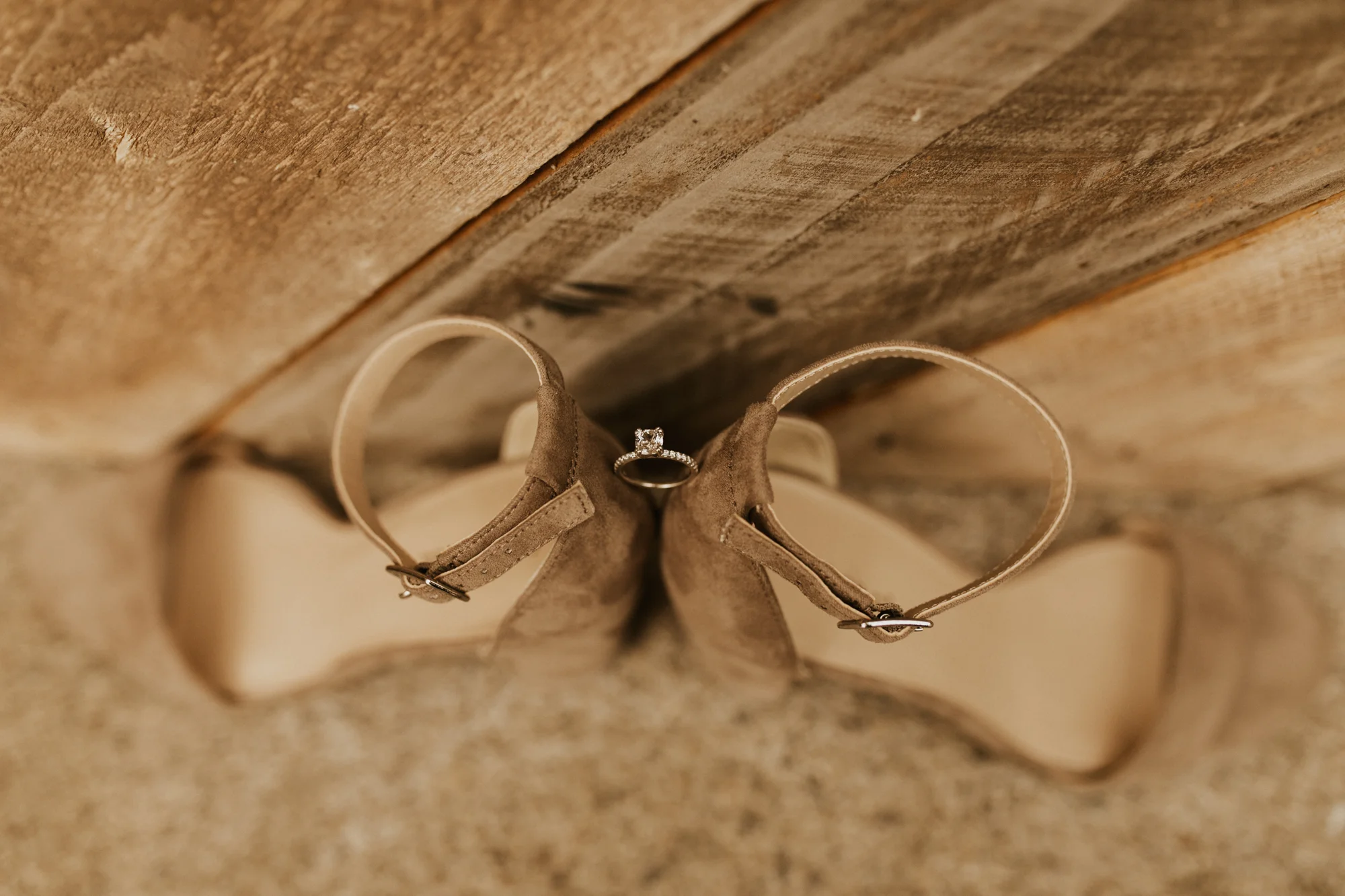 greenhouse wedding photos